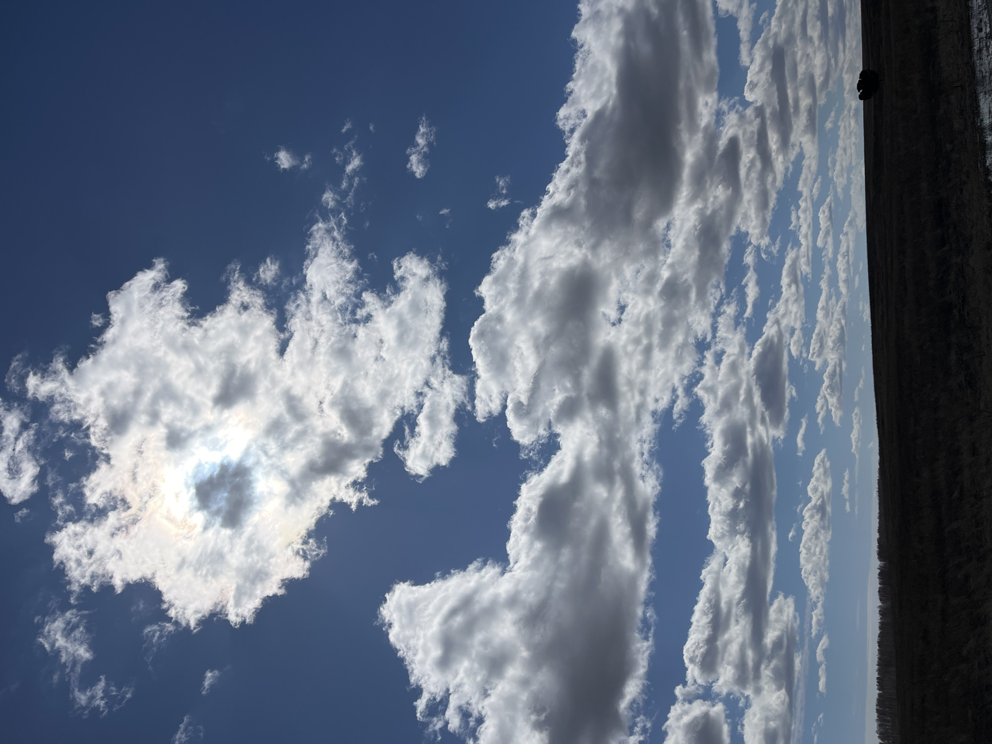 The image shows a blue sky partially filled with cumulus clouds. Some of the clouds are dense and white, while others are more wispy and translucent, with the sun shining through one of them. On the right side of the frame, a dark, undefined area suggests the presence of trees or a forest line. The image's rotation is vertical. I cannot pinpoint the location to Zhandat, Russia, based on the image.