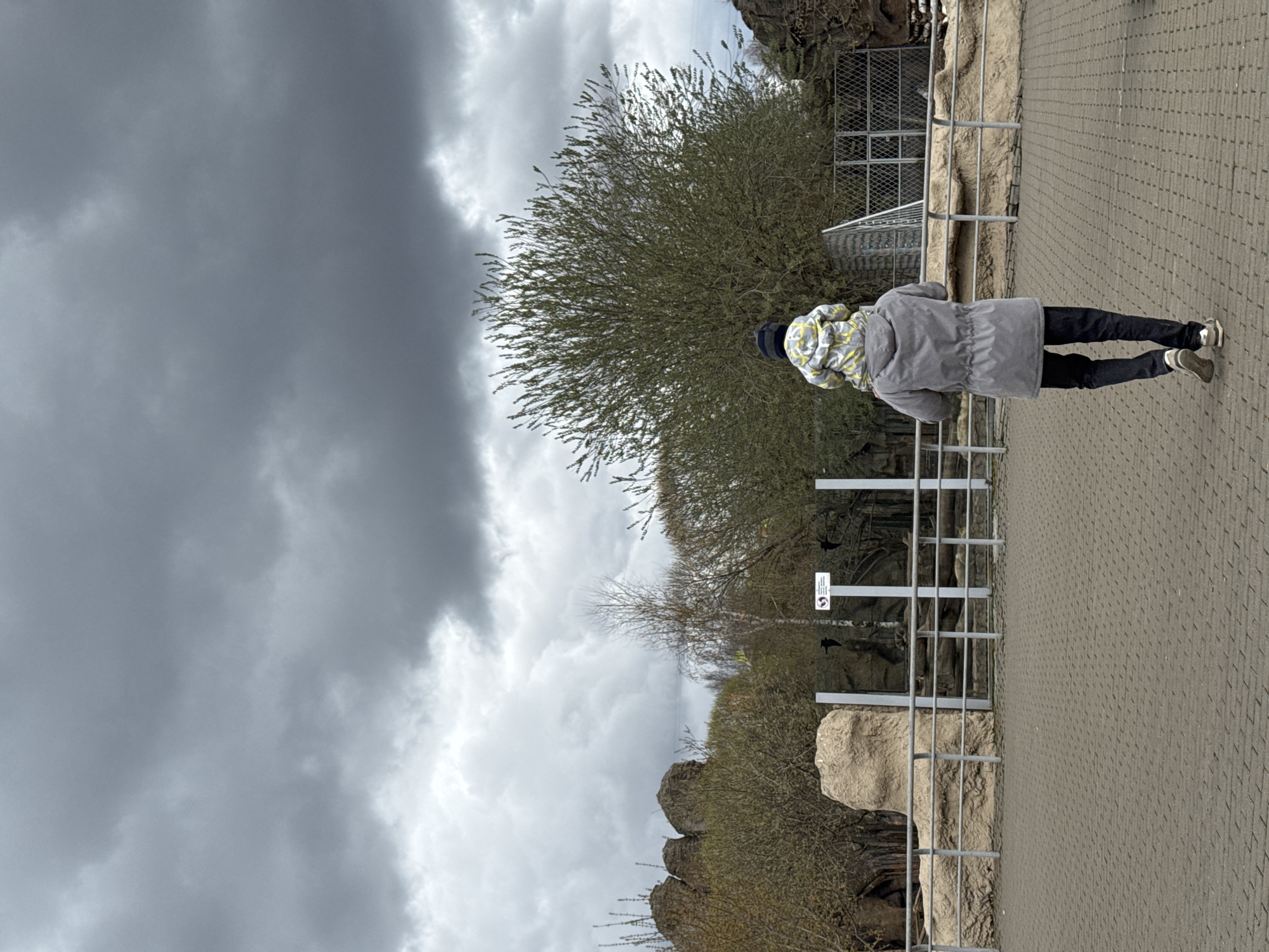 A person stands on a brick path, looking over a railing at trees and rock formations under a cloudy sky. This location is in Izhevsk, Russia. The person is wearing a gray coat, dark pants, and sneakers. A fenced enclosure is visible behind the railing, suggesting a zoo or park setting. The overall scene is overcast and appears to be outdoors.