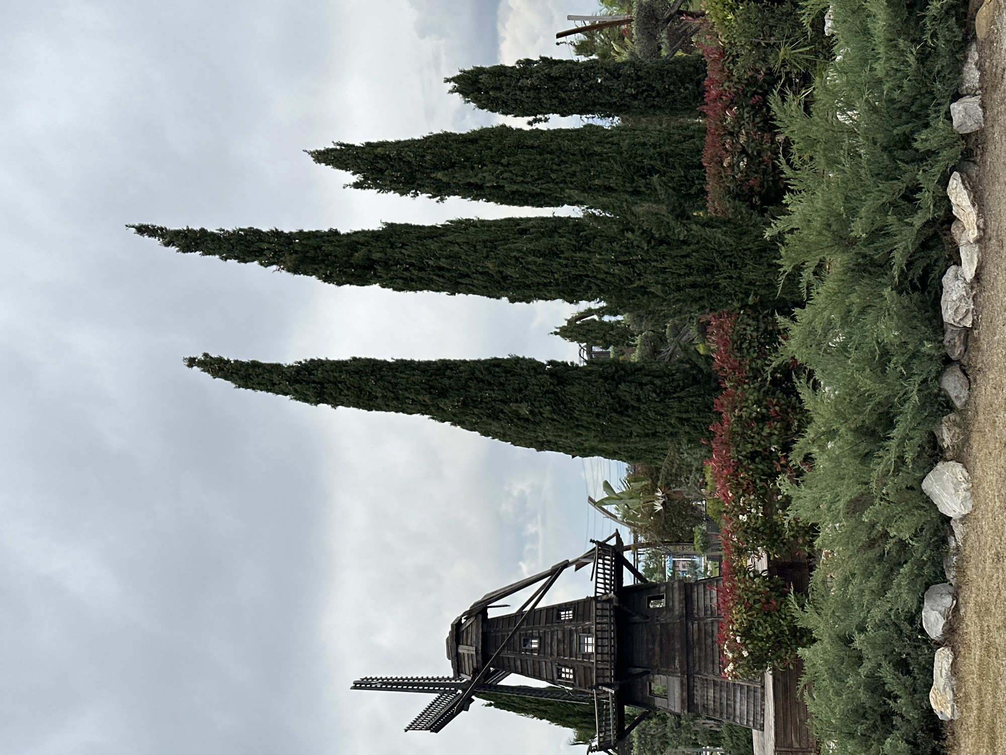 The image shows a wooden windmill structure in a park-like setting. The location is believed to be in the city of Fethiye, Turkey. The windmill is prominently featured with its blades and wooden construction. Tall, conical trees rise in the background, providing a green backdrop. Shrubbery and plants, including some with reddish foliage, are present alongside a border of rocks. The sky is overcast and gray.