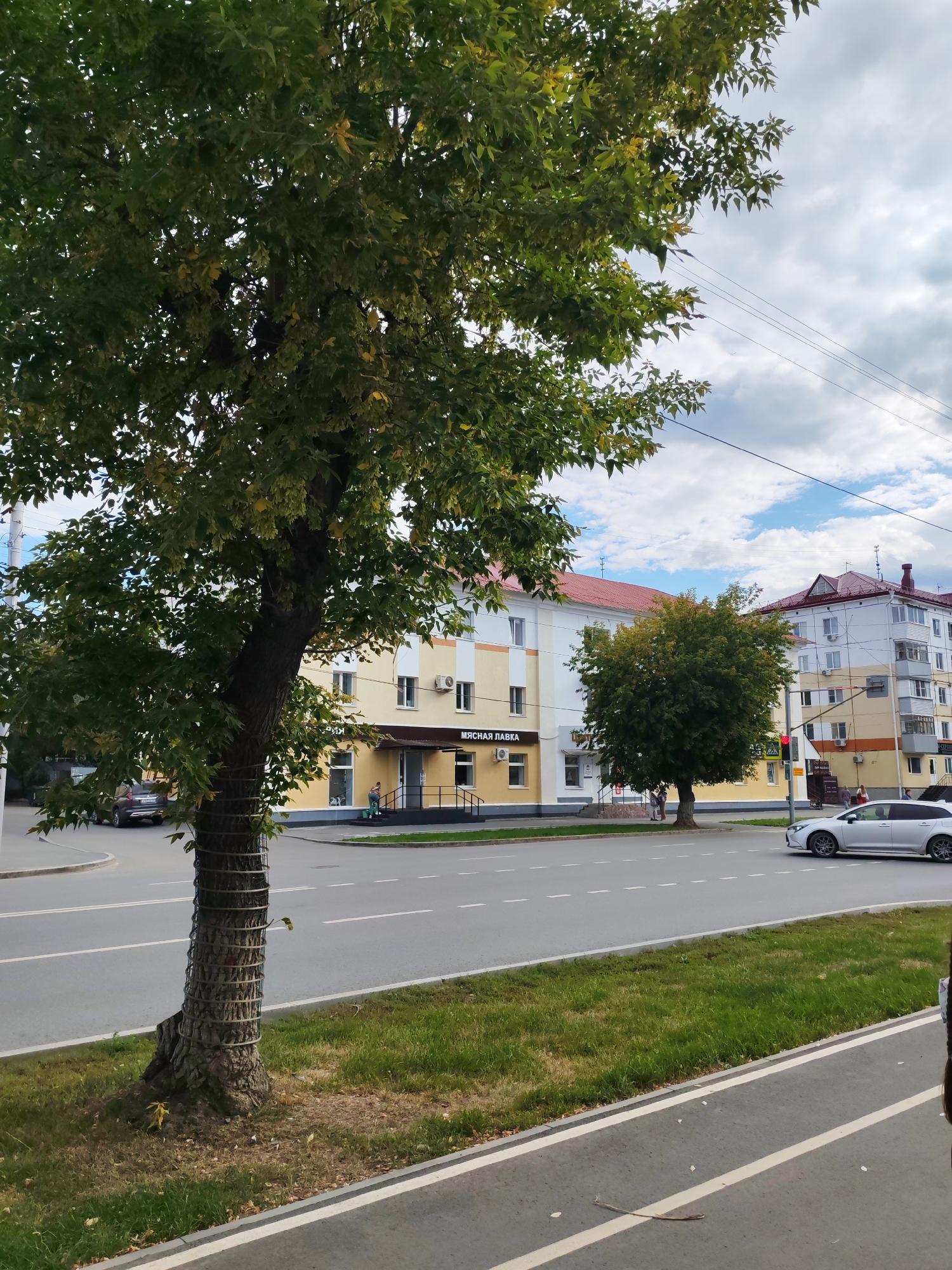 A tree stands on a grassy median strip next to a paved road in an urban environment. The tree has a thick trunk wrapped with metal wiring and is covered in green leaves. In the background, there are multi-story buildings with yellow and white facades, and a red-tiled roof. A silver sedan is driving on the road, and a dark SUV is parked on the left side of the image. The sky is partly cloudy with blue patches and gray clouds. There are power lines visible above the buildings. A small sidewalk runs along the edge of the road, separated by a white line.