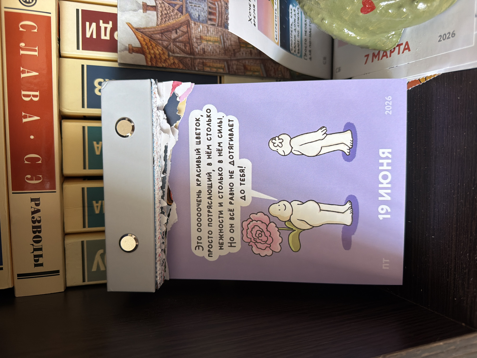 The image depicts a shelf in what appears to be a private residence or a small shop. The main subject is a purple calendar page with a cartoon illustration of two figures and text in Russian. The illustration shows one figure holding a large pink flower and the other figure looking at it. The text on the calendar reads "Это оооочень красивый цветок, просто потрясающий, в нём столько нежности и столько в нём силы! Но он всё равно не дотягивает до тебя!" which translates to "This is a very beautiful flower, simply amazing, it has so much tenderness and so much strength in it! But it still doesn't reach you!". Below the illustration, it says "пт 19 ИЮНЯ 2026".
The calendar is part of a larger desk calendar with a silver binding mechanism at the top. Behind and around the calendar, there are books with their spines visible, some in Russian. The environment appears to be indoors, likely a shelf in a room. There is no visible indication of the specific location within the city of Chaikovsky, Russia. The lighting suggests it might be a dimly lit room or a shelf that is not directly exposed to bright light. The overall impression is a close-up shot of a decorative or functional item on a shelf amongst other books.