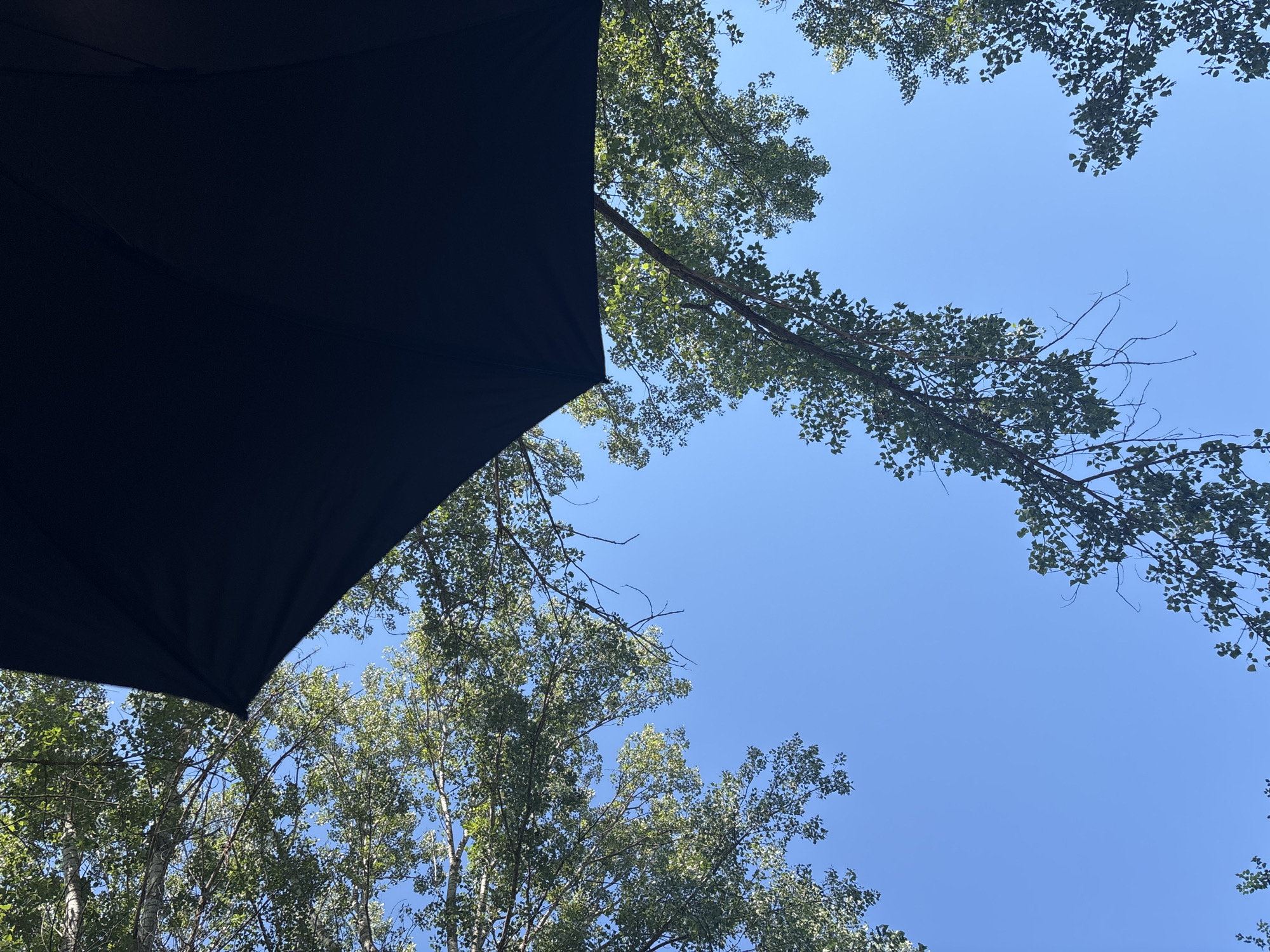 The image shows a view looking up at a clear blue sky, partially obscured by the black fabric of an umbrella in the foreground. The branches of trees with green leaves are visible against the sky, suggesting an outdoor setting. The scene is set in the city of Chetirtsi, Bulgaria. There are no people or animals present in the image.
