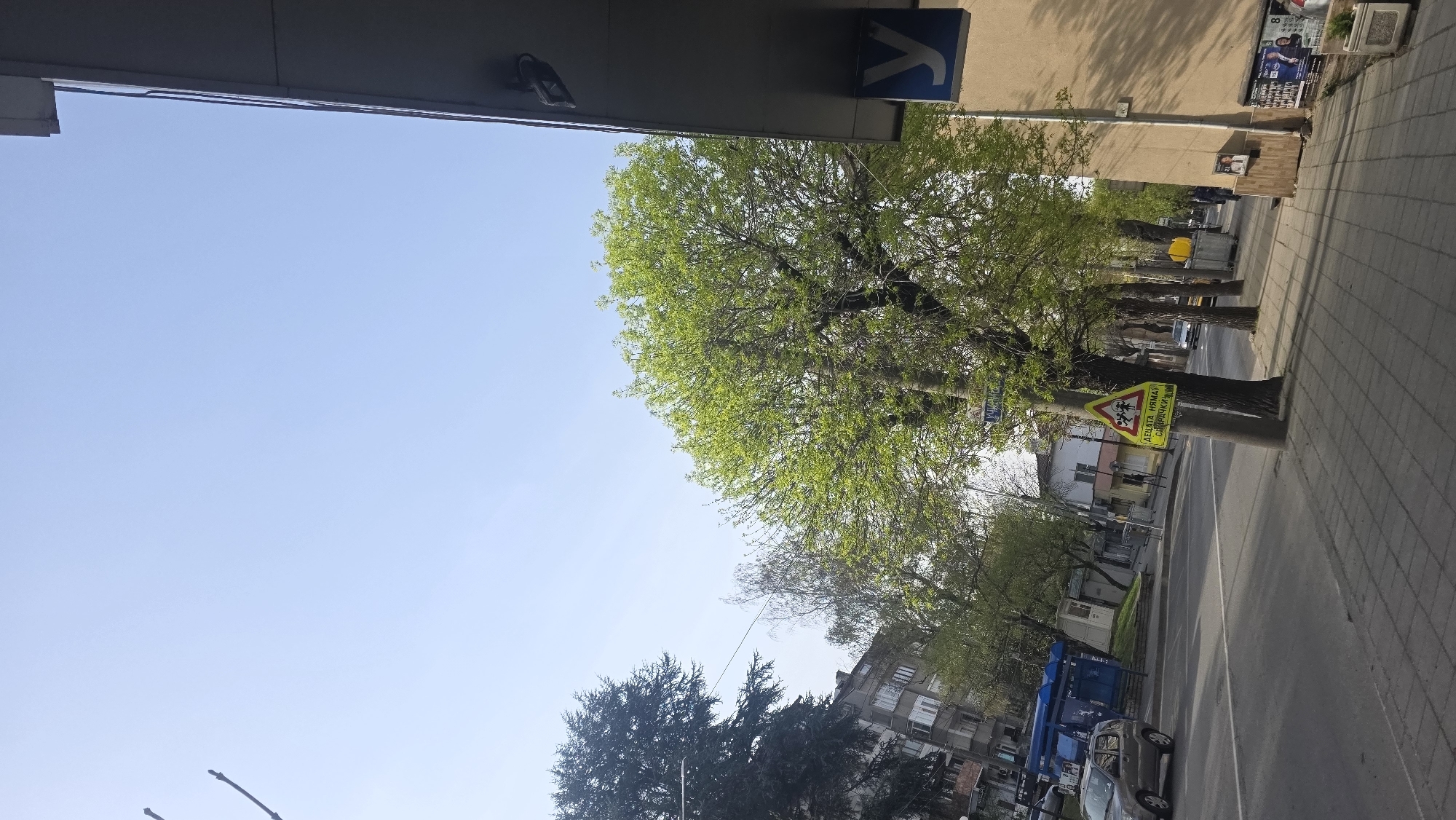 The image shows an urban street scene in Blagoevgrad, Bulgaria. The perspective is from an elevated position, possibly a building. The sky is light blue with some tree branches visible. A tree with bright green foliage dominates the right side of the image. Attached to the tree is a yellow triangular traffic sign with black pictograms of children and Cyrillic text. A sidewalk runs along the right side of the frame, with a street visible beyond. Parked cars and a blue structure are visible on the opposite side of the street. Buildings and more trees are present in the background. A portion of a building and an ATM sign are visible at the top of the image.