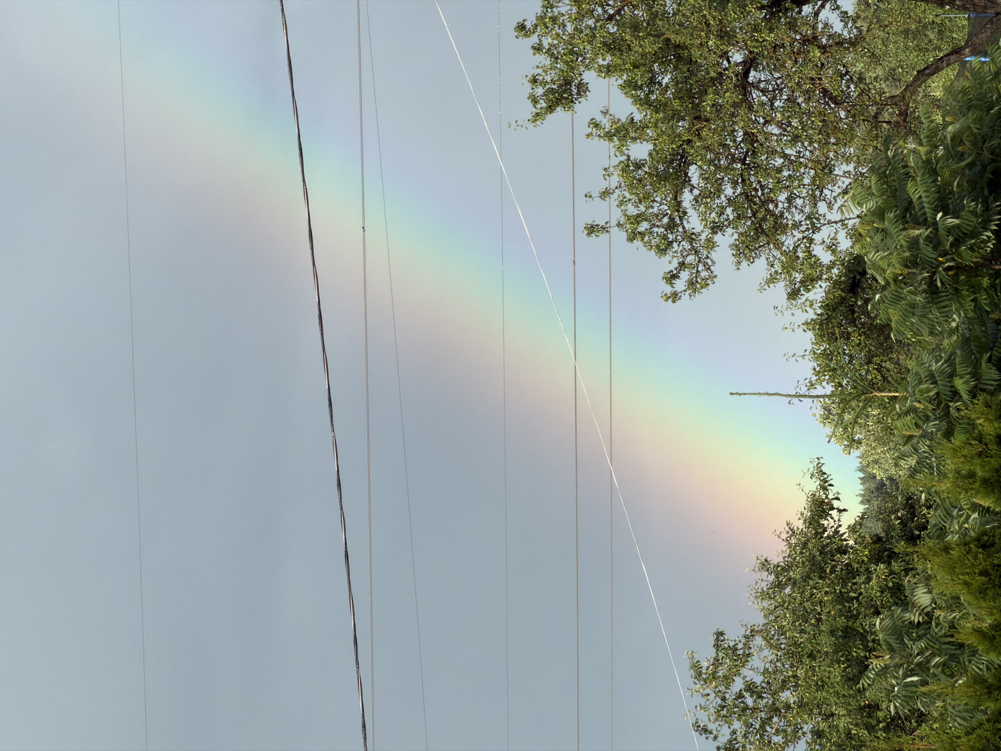 The image captures a natural phenomenon, a rainbow, arcing across a gray, overcast sky. The rainbow is partially obscured by power lines, which are strung horizontally across the frame. Below the sky, a dense canopy of lush green trees and foliage dominates the lower portion of the image. The trees appear to be of various species, with some featuring broad leaves and others having a more feathery texture. The overall scene suggests an outdoor environment, likely a residential area given the presence of the power lines and manicured greenery. The location is identified as Dreiliņi, Latvia, implying a somewhat rural or suburban setting within that region. No people or specific actions are depicted, focusing solely on the natural elements and infrastructure.