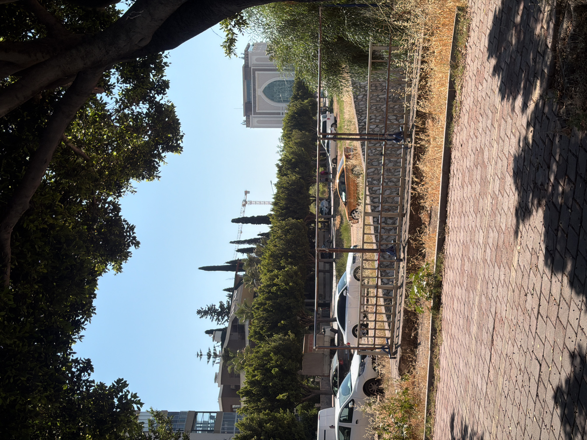 This is a vertical, eye-level, outdoor photograph taken on a clear, sunny day. The scene depicts a street with parked cars and buildings, framed by the dark branches and green leaves of a large tree in the foreground on the left. A metal fence runs along the right side of the street, separating it from a paved area with cobblestones.
Several cars are parked along the street, including a white van, a white sedan, and an orange sedan. Behind the cars, a line of lush green trees and cypress trees are visible, with some buildings and a distinctive arched structure in the distance. A construction crane is also present among the trees. The overall setting appears to be a residential or commercial area in a warm climate. The lighting suggests it is daytime, likely late morning or early afternoon, with strong shadows cast by the tree. No people are clearly visible. The image is oriented vertically, with the top of the frame showing the sky and the bottom showing the paved ground. There is no visible text in the image.