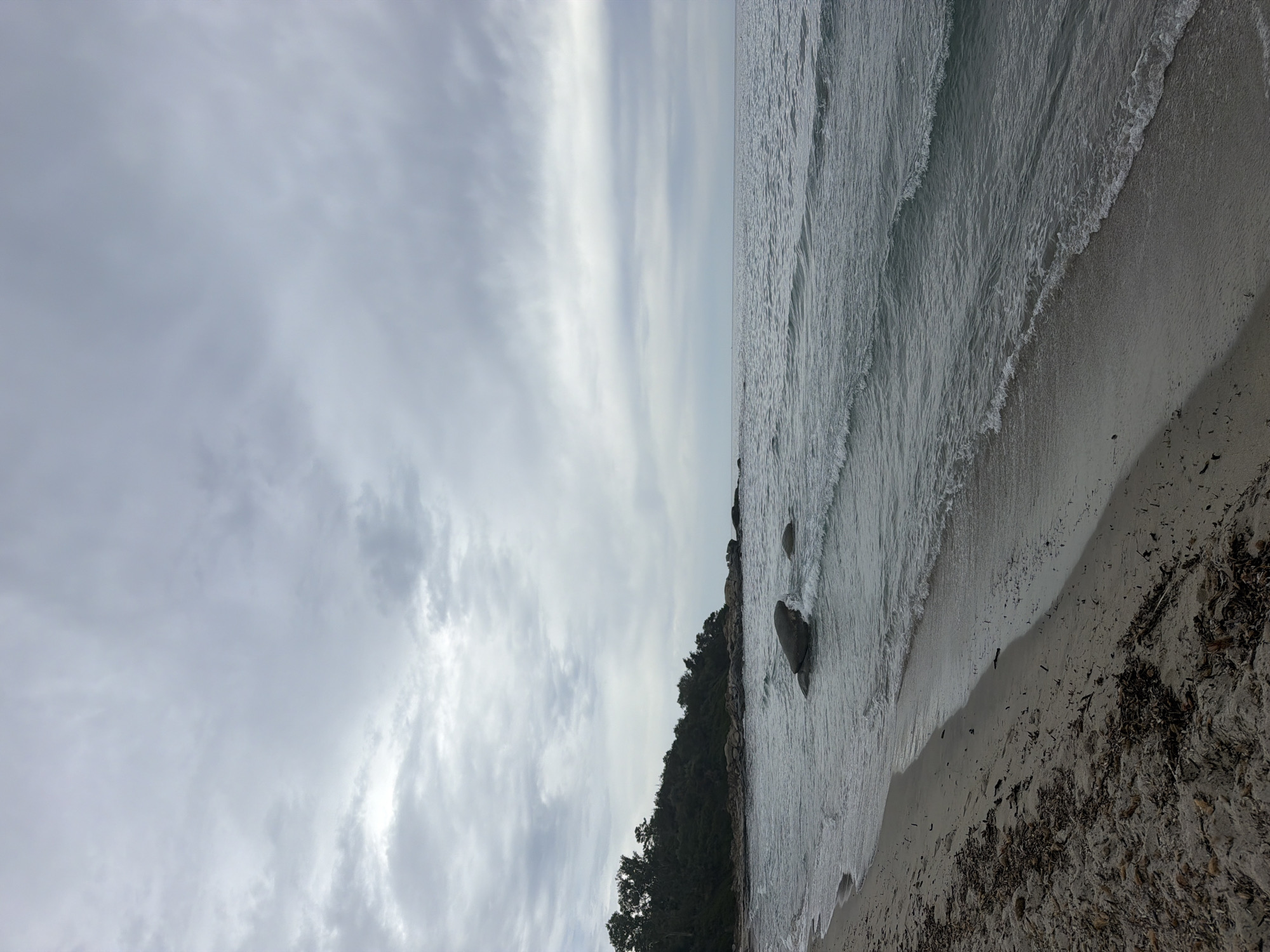 The image depicts a desolate beach scene under a cloudy sky. The foreground is a sandy shore littered with dried seaweed and debris. Gentle waves lap at the edge of the sand. In the mid-ground, the sea stretches to the horizon, with a few large rocks partially submerged near the shoreline. To the left, a dense line of dark green trees forms a backdrop along the edge of the land. The overall impression is one of a cool, overcast day with limited visibility. This scene is located on a beach in Tortolì, Italy.