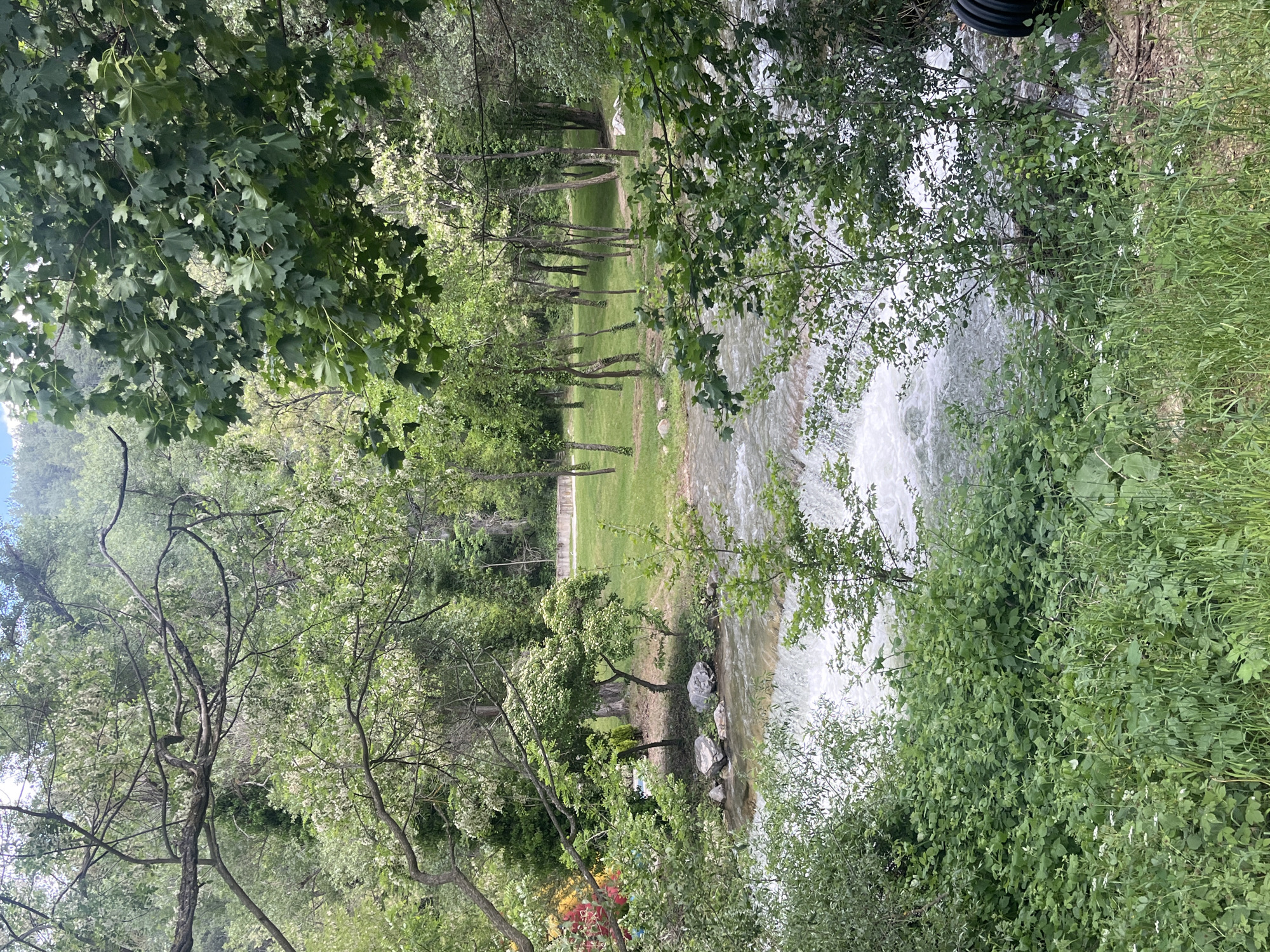 The image presents a scene with a flowing river in a park-like setting. The river is bordered by lush greenery, including grass, shrubs, and trees. The water appears turbulent, possibly indicating a small waterfall or rapids. A path runs parallel to the river, lined with trees, suggesting a walking trail. The foliage is dense, with a variety of trees and shrubs. The photo appears to be taken from a slightly elevated perspective, looking down towards the river.
While the specific location cannot be determined from the image alone, based on the description of Blagoevgrad, Bulgaria, and its known landmarks, this scene could potentially be within one of the city's parks that feature a river or stream. It would be necessary to have additional images or location information to confirm the exact site.
