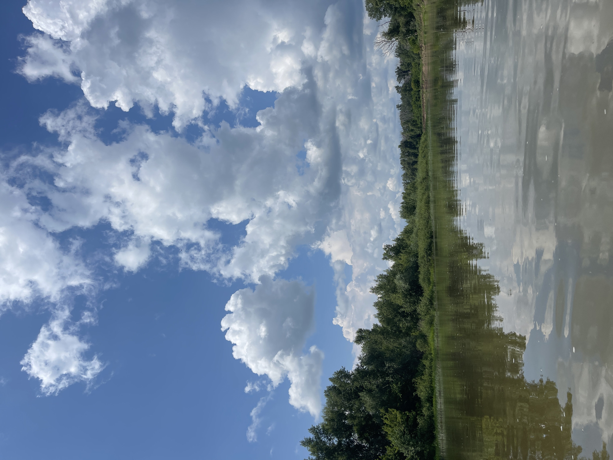 This is a full-frame, eye-level, landscape photograph taken on a sunny day in Nezhinka, Russia. The image depicts a wide, calm river reflecting a bright blue sky filled with fluffy white cumulus clouds. The riverbank is lined with dense, lush green trees and vegetation. The overall scene conveys a peaceful and natural ambiance, characteristic of a rural or park-like setting within the city of Nezhinka.