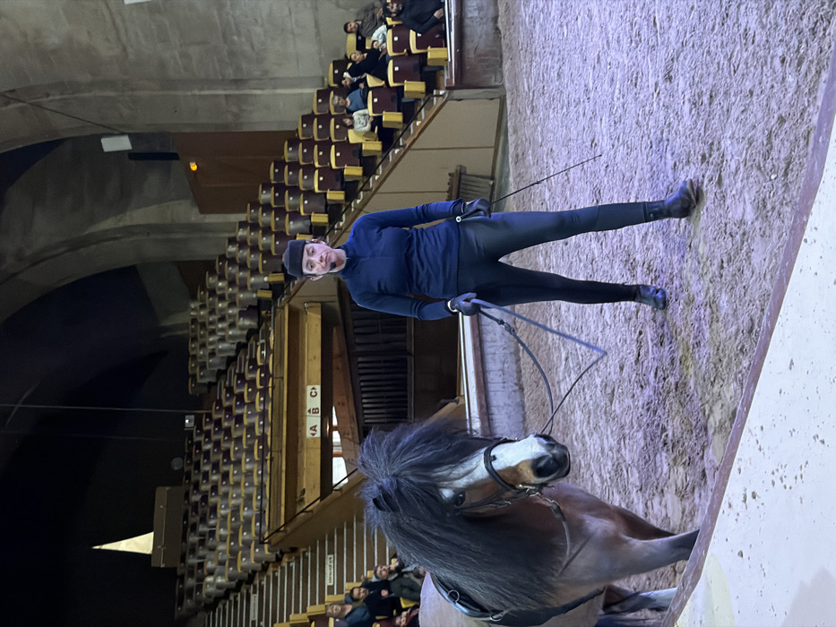 An indoor equestrian scene is captured, featuring a person and a horse in what appears to be an arena with tiered seating in the background. The image is oriented vertically, with the subjects appearing to stand on a wall. When rotated to the correct horizontal orientation, the person and horse are positioned on a light-colored, sandy or dirt arena floor, typical of an equestrian facility.
In the foreground, a person, seemingly male, stands upright, facing slightly towards the camera. He is dressed in a dark blue long-sleeved top, dark, fitted pants, and black boots. A dark beanie covers his head, and he is wearing dark gloves. He holds a long, flexible whip or lunge line in his gloved hands, which connects to the horse's bridle. His expression is neutral.
To the right of the person, a brown horse is visible, predominantly from its head and forequarters. The horse has a long, thick, dark mane, possibly black or very dark brown, which appears somewhat shaggy. Its muzzle and nose area are lighter in color, and it has a white marking (blaze or star) on its forehead. The horse is wearing a bridle, and its gaze is directed towards the person.
The background features tiered seating on the left side of the frame. The seats appear to be individual chairs, possibly made of wood or with wooden accents. Most rows are empty, but a small group of approximately 4-5 people is seated in the upper rows, observing the activity. Behind the seating, the arena features high ceilings with arched structures, suggesting an older or traditional building, possibly an equestrian hall. The walls and ceiling architecture appear to be made of stone or concrete.
Visible on a wooden support beam near the seating are the letters "A B C" arranged vertically, likely indicating seating sections. Below these letters, some smaller, less legible text, possibly "RANG C," can be seen. The arena floor is brightly lit, likely by artificial light sources, while the upper parts of the architecture and empty seating areas are somewhat darker, creating a spotlight effect on the performance area. The overall impression is of an equestrian demonstration, training session, or performance taking place indoors.