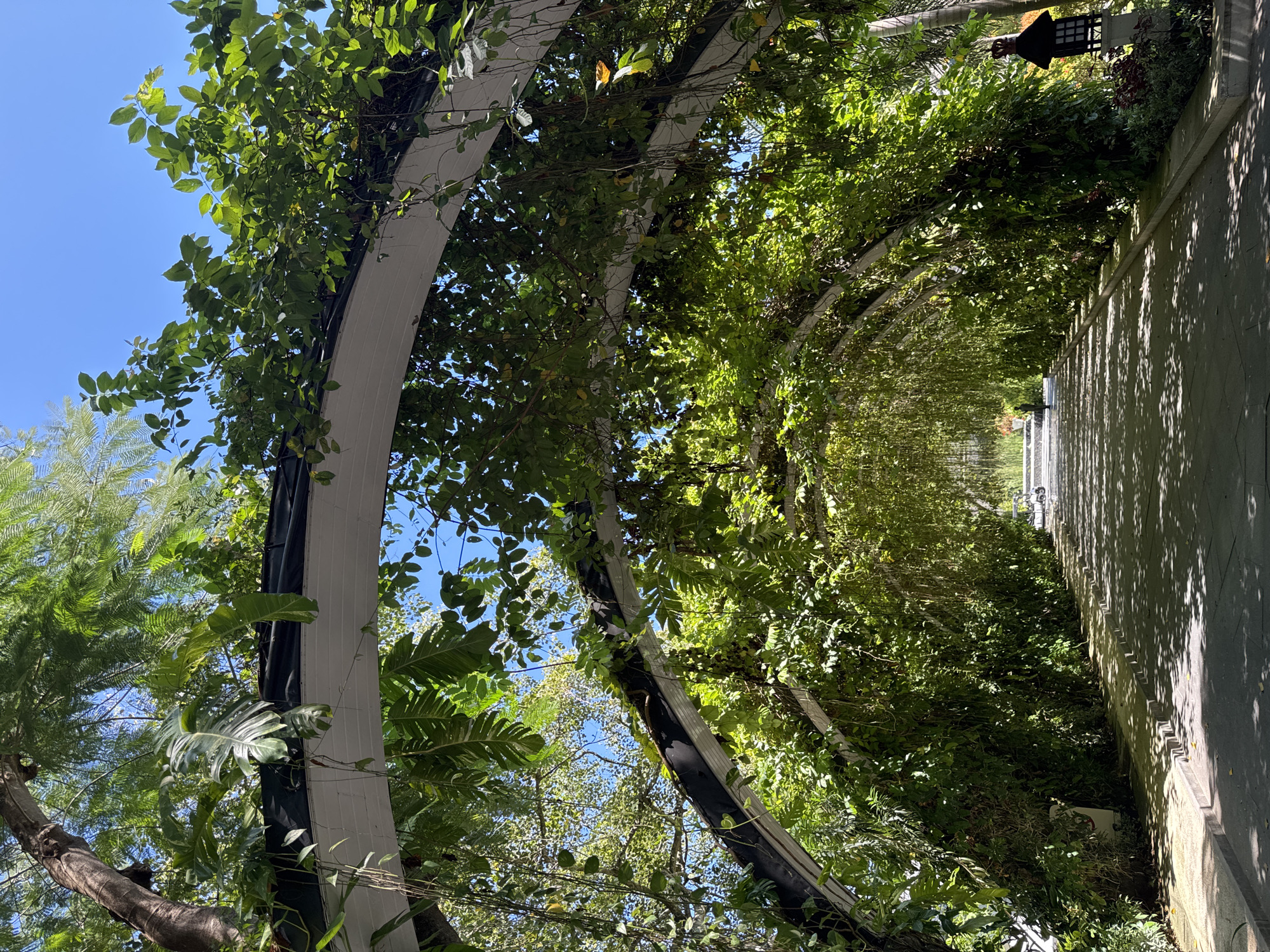 The image shows a covered walkway or pergola in Kuta Selatan, Indonesia. The structure is composed of white arches, heavily overgrown with green foliage, creating a tunnel-like effect. Sunlight filters through the leaves, casting shadows on the adjacent concrete path. A concrete wall runs along the right side of the path, and a lamppost is visible further down the walkway. The sky is blue and partially visible through gaps in the foliage.