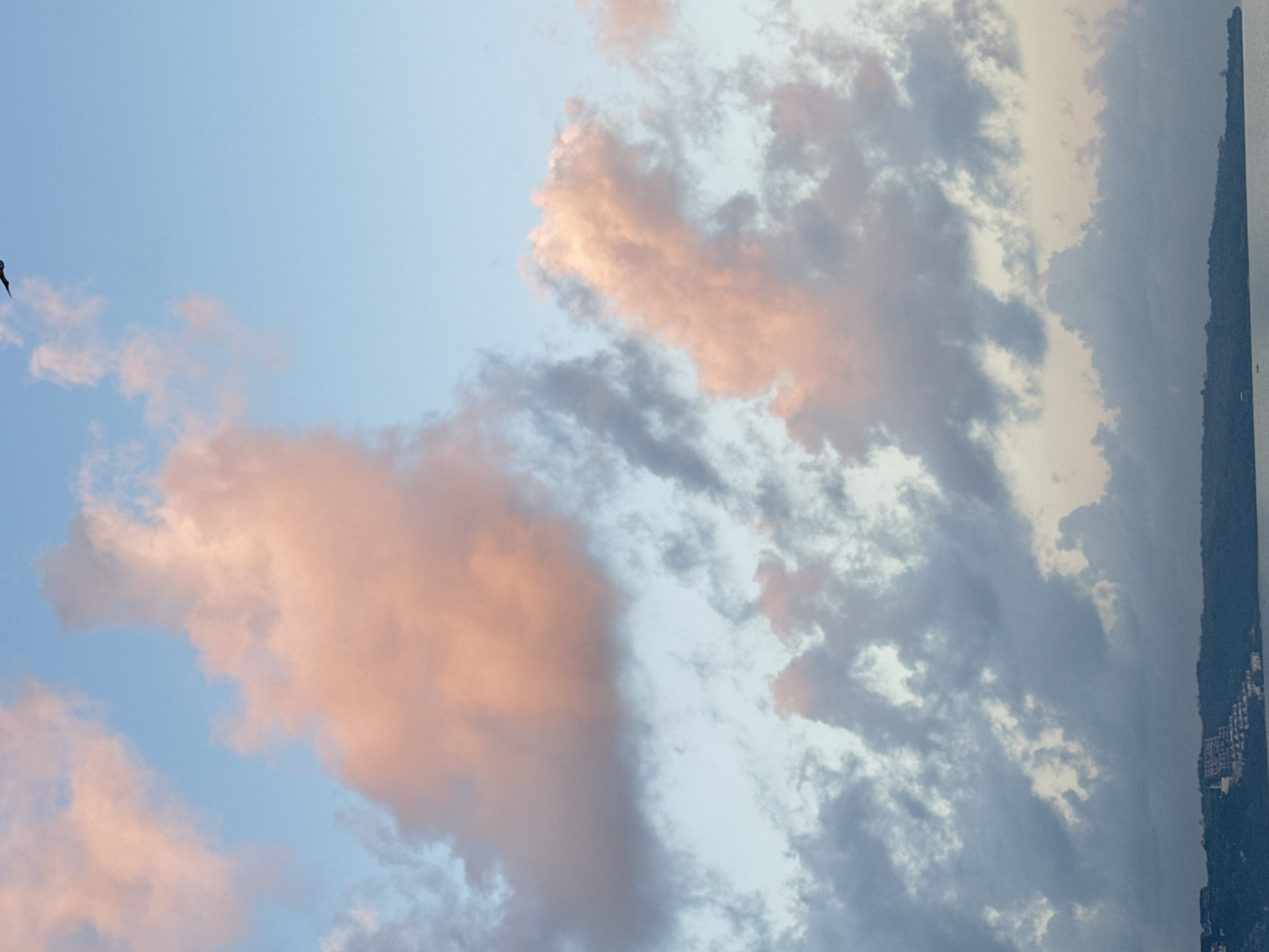 The image depicts a serene sky filled with clouds tinged with hues of pink and orange, suggesting either sunrise or sunset. A lone bird is visible flying high in the sky, a dark silhouette against the lighter tones of the clouds. Below the sky, a coastline is visible, characterized by a lush green expanse of trees that meet the water. Nestled within the trees, a cluster of white buildings with red roofs forms a small settlement, potentially a resort or residential area. The overall atmosphere is tranquil and natural, with the hints of civilization blending into the landscape. The location is Kuta, Indonesia.