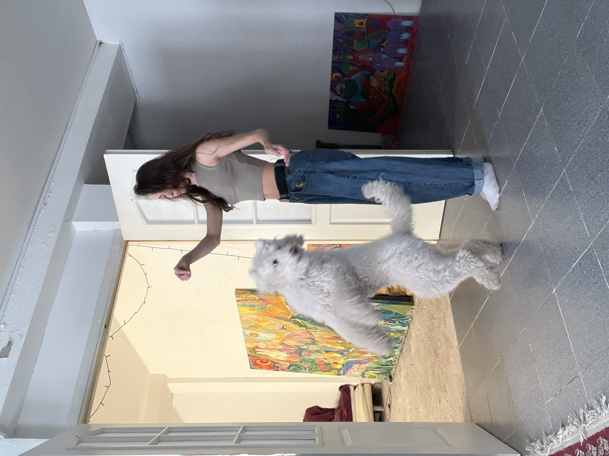 The scene takes place indoors, in what appears to be a residential or studio space in Krasnoyarsk, Russia. A young female individual with long dark hair, wearing a grey sleeveless crop top, baggy blue jeans with a black belt, and white socks, stands positioned towards the right side of the frame. Her right arm is raised with a clenched hand, while her left hand is near her hip. A white, curly-haired dog stands upright on its hind legs, facing the woman, with its front paws in the air. The dog is in motion, indicating an interaction with the woman.
The flooring consists of grey square tiles in the foreground, with a section of a red rug with white fringe visible on the far left. Beyond a white open doorway, the floor transitions to a lighter, possibly tan, surface. The walls are primarily white, though a room in the background features a warm, light yellow wall. Two large, colorful abstract paintings lean against the wall in the background: one dominantly yellow, orange, and red with various figures and organic shapes, and another smaller, darker painting with blue, purple, and green tones depicting stylized figures. A string of dark, unlit decorative lights is draped across the top of the doorway frame. Peeling paint is visible on the upper section of the white door frame. A section of a light-colored sofa or seating with a red throw is partially visible in the far left background.