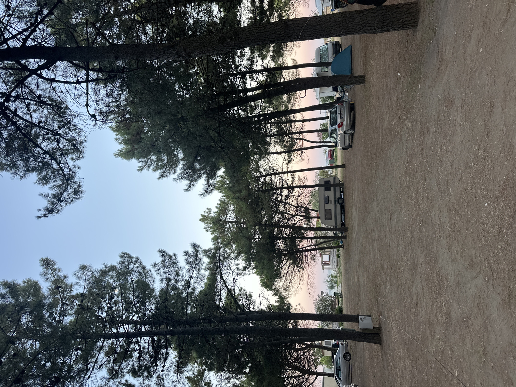 A view of a campsite in Donji Štoj, Montenegro, shows tall pine trees casting shadows on a sandy ground. Several vehicles, including cars, a caravan, and a camper van, are parked amongst the trees. A blue tent is pitched near the camper van. In the background, small structures and buildings are visible, with a hint of the sea and a pink and orange gradient in the sky, suggesting it is either dawn or dusk. The scene is peaceful and appears to be a typical holiday campsite.