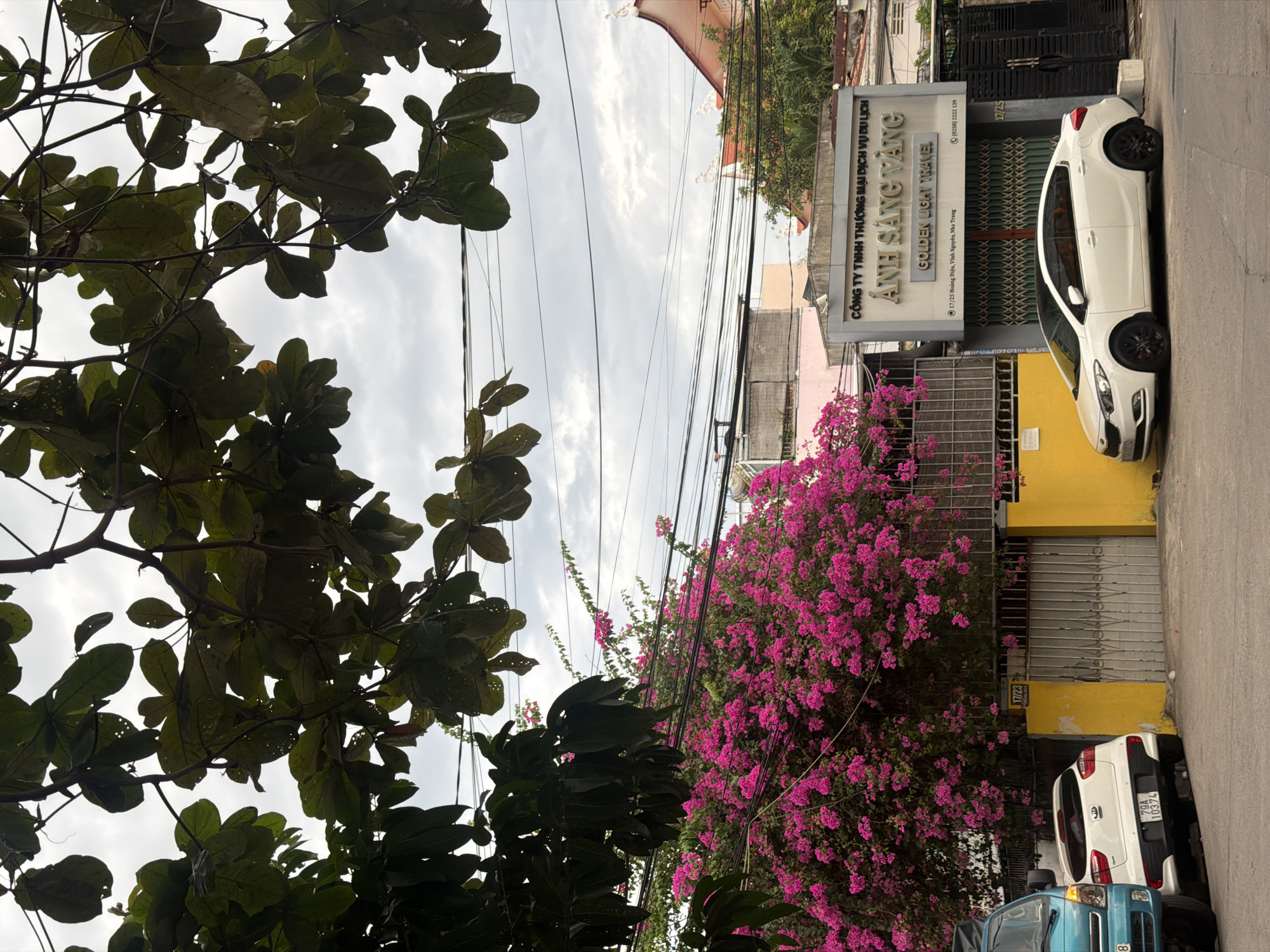 The image captures a street scene in Nha Trang, Vietnam. In the foreground, a white sedan is parked on the right, with a portion of a blue truck visible on the left. Behind the cars, a vibrant pink bougainvillea bush is in full bloom, cascading over a yellow wall and a grey metal gate. To the right of the bougainvillea, a building with signage for "Golden Light Travel" is visible. The building has a light-colored facade and dark shutters. Overhead, dark green leaves from a tree branch hang down, partially obscuring the cloudy sky and a network of electrical wires. The scene appears to be a typical urban street with residential or commercial buildings.