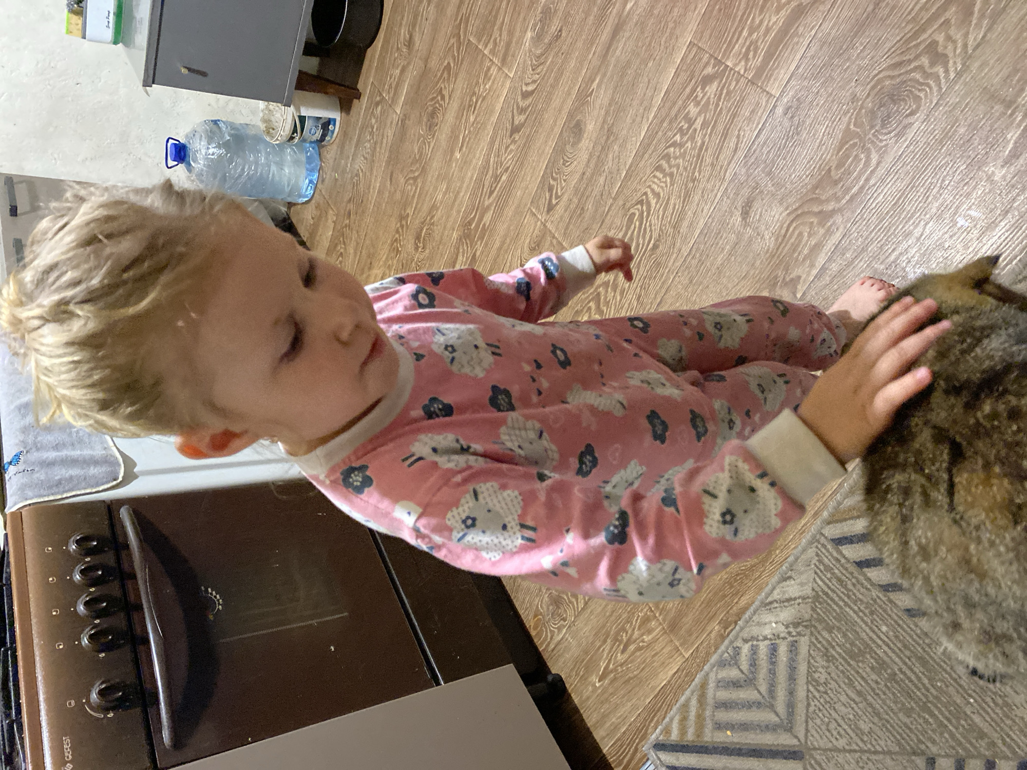 A young child with blonde hair, wearing pink pajamas with a sheep pattern, stands in a kitchen. The child is petting a cat or dog that is partially visible in the foreground. The kitchen has wooden floors and a brown oven visible in the background. A large bottle of water and a gray cabinet are also present. The overall environment suggests a domestic setting.