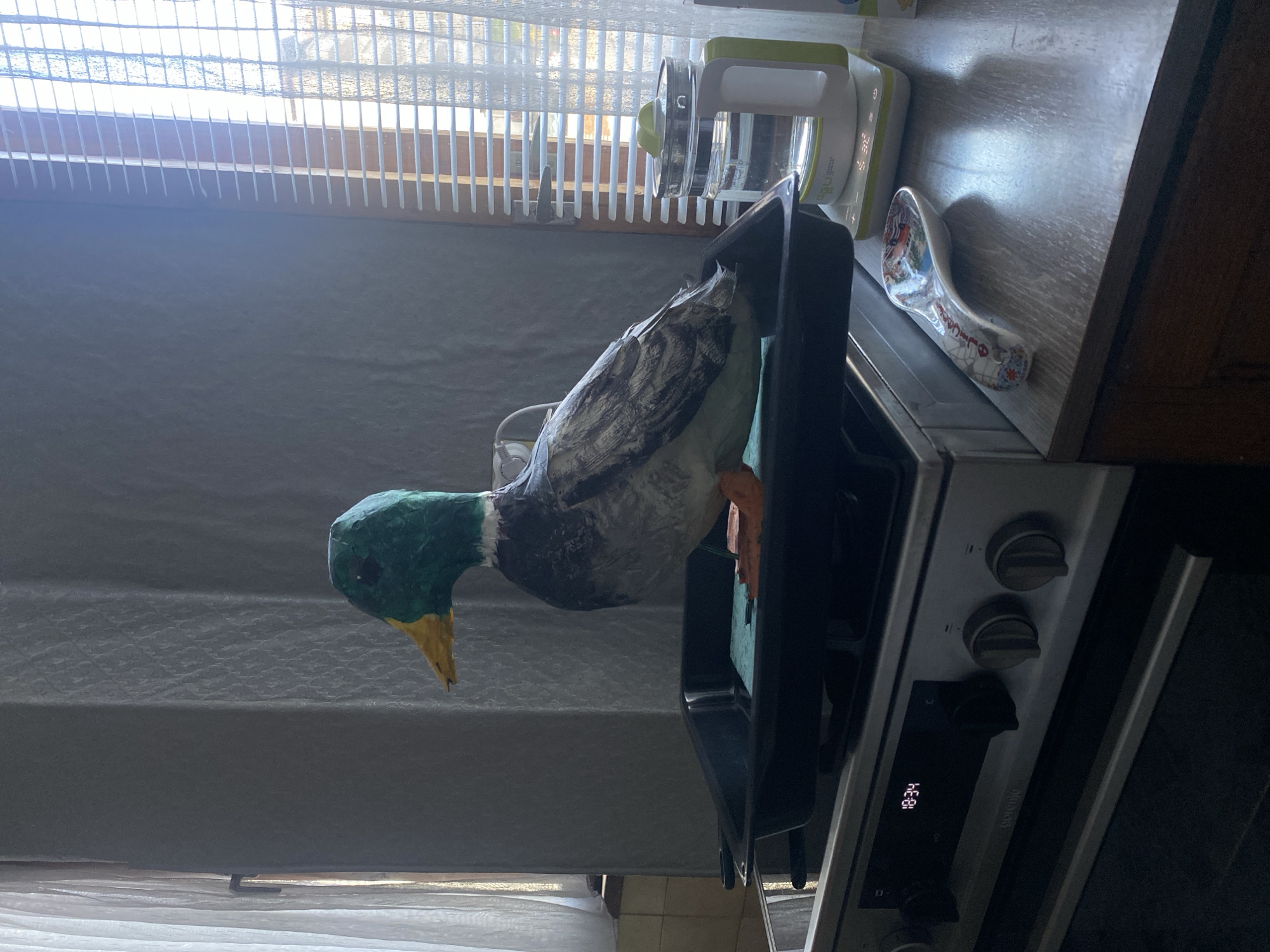 A paper mache duck figurine sits on an open oven door next to a white appliance and a green and white device. The setting appears to be indoors near a window with white blinds. The location in Blagoevgrad, Bulgaria is not discernible from the image.