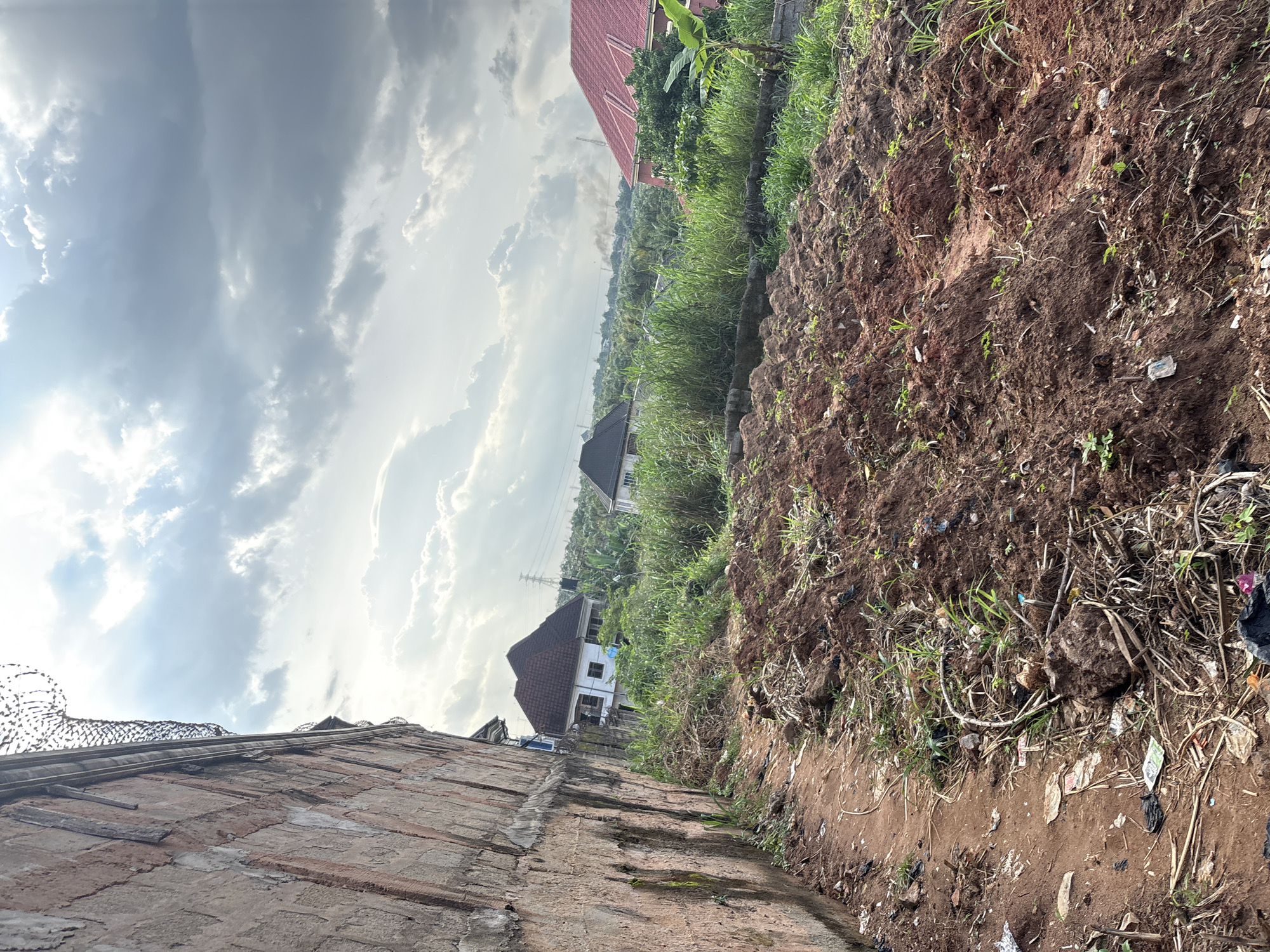 The image depicts an outdoor scene in Obosi, Nigeria, featuring a dirt path bordering a weathered brick wall on the left. The path is covered in loose soil, dry vegetation, and scattered debris including plastic bags and paper. Beyond the path, a partially cleared field of dark, reddish-brown soil with small green shoots is visible, suggesting recent tilling or planting. A dense growth of tall green grass separates the field from a residential area. In the background, several houses with distinct roof designs are present, including one with a dark, multi-pitched roof and white walls, and another with a bright red tiled roof. Lush green trees and foliage fill the middle ground. In the distance, utility poles and what appear to be electrical towers rise above the treeline, and faint smoke plumes are visible in the sky. The sky is overcast with dramatic, heavy grey clouds, suggesting an impending storm or recent rainfall. The overall impression is one of a semi-rural or developing suburban environment.