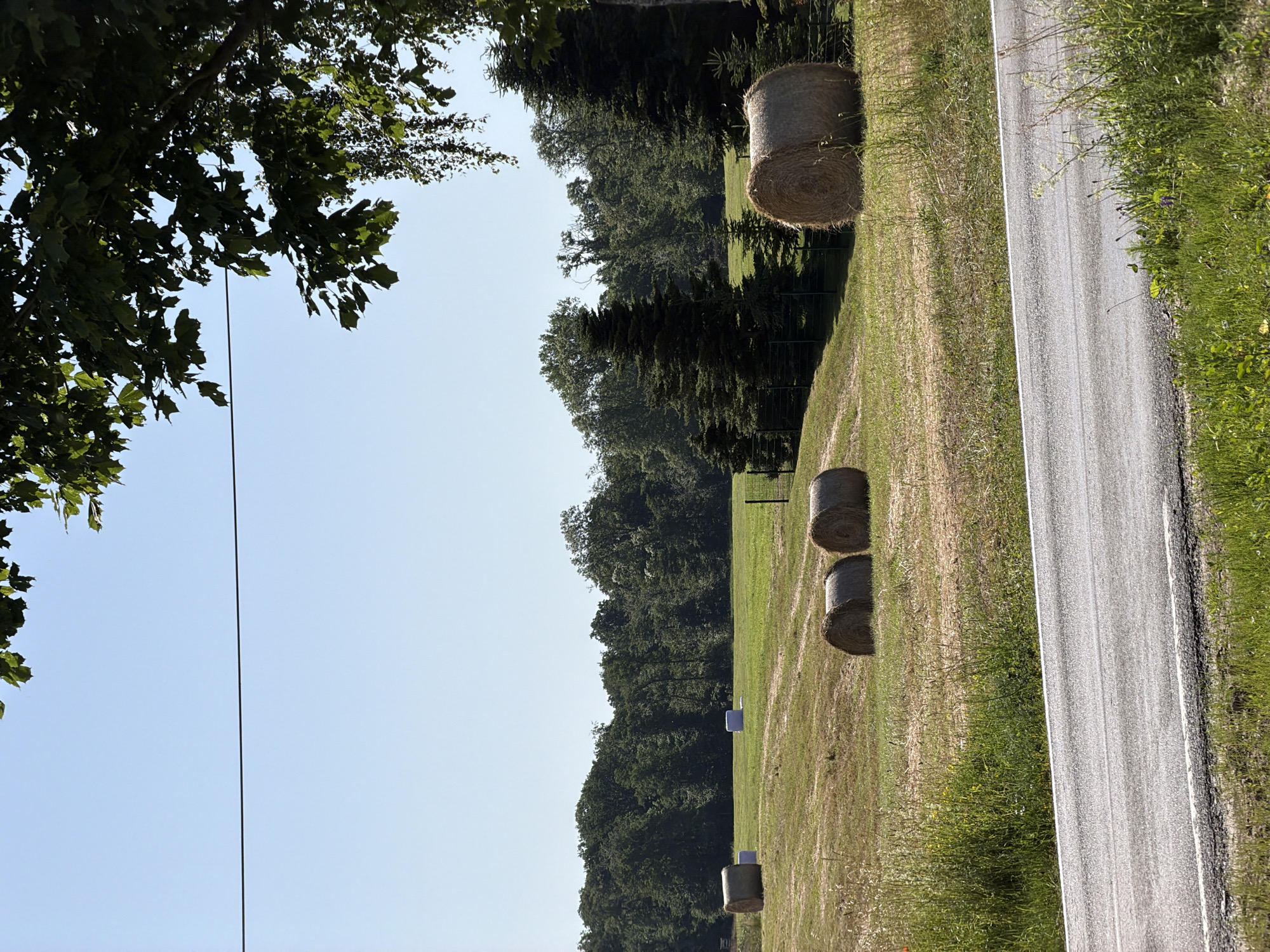The image depicts a rural landscape on a bright, sunny day. The scene is dominated by a field of cut grass, marked by rows where the hay has been baled into large, cylindrical rolls. Several hay bales are visible, some stacked and others lying individually. A paved road runs along the right side of the frame, bordered by lush green grass and wildflowers. In the background, a dense line of trees forms a dark green barrier against the clear blue sky. A few small, blue objects are scattered in the field, possibly markers or signs. The angle of the sun suggests it is midday. The overall impression is one of a tranquil, agricultural setting. There is no text visible in the image.