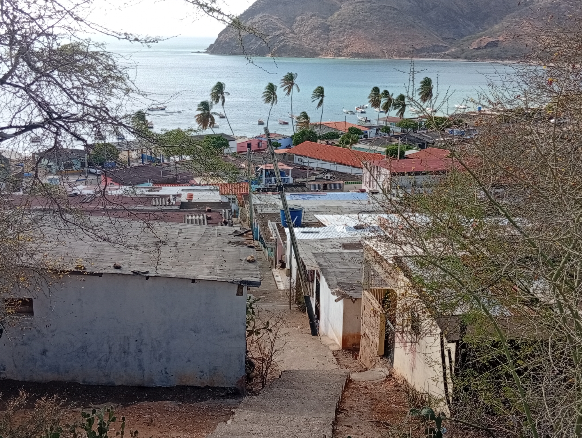 The image depicts a downward-sloping pedestrian path in the city of Juan Griego, Venezuela, lined with modest, single-story buildings with varied roofing materials, including corrugated metal and red clay tiles. The structures are closely spaced, creating a narrow corridor. In the background, the Bay of Juan Griego is visible, dotted with small boats and framed by a mountainous peninsula. Palm trees line the waterfront. The foreground is partially obscured by bare branches of trees, adding depth to the scene. The overall impression is of a humble residential area in a coastal setting.