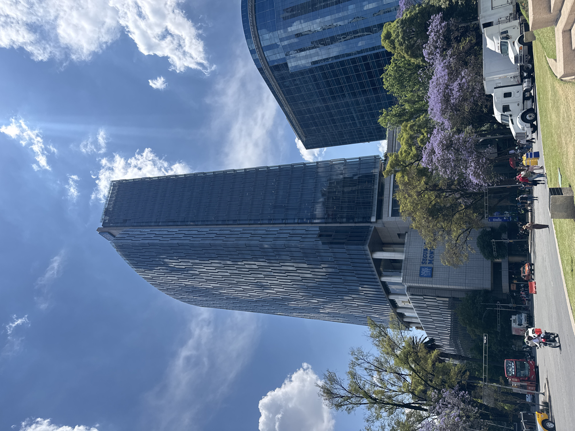 The image shows a street scene in Mexico City, Mexico. Two modern, glass-clad skyscrapers dominate the view, contrasting with the surrounding natural elements. A row of jacaranda trees, their purple flowers in full bloom, line the street, partially obscuring a line of white trucks. Pedestrians and a motorcycle are visible on the street, suggesting urban activity. A building with the sign "New York Life Seguros Monterrey" is also present. The sky is bright blue with scattered clouds.
