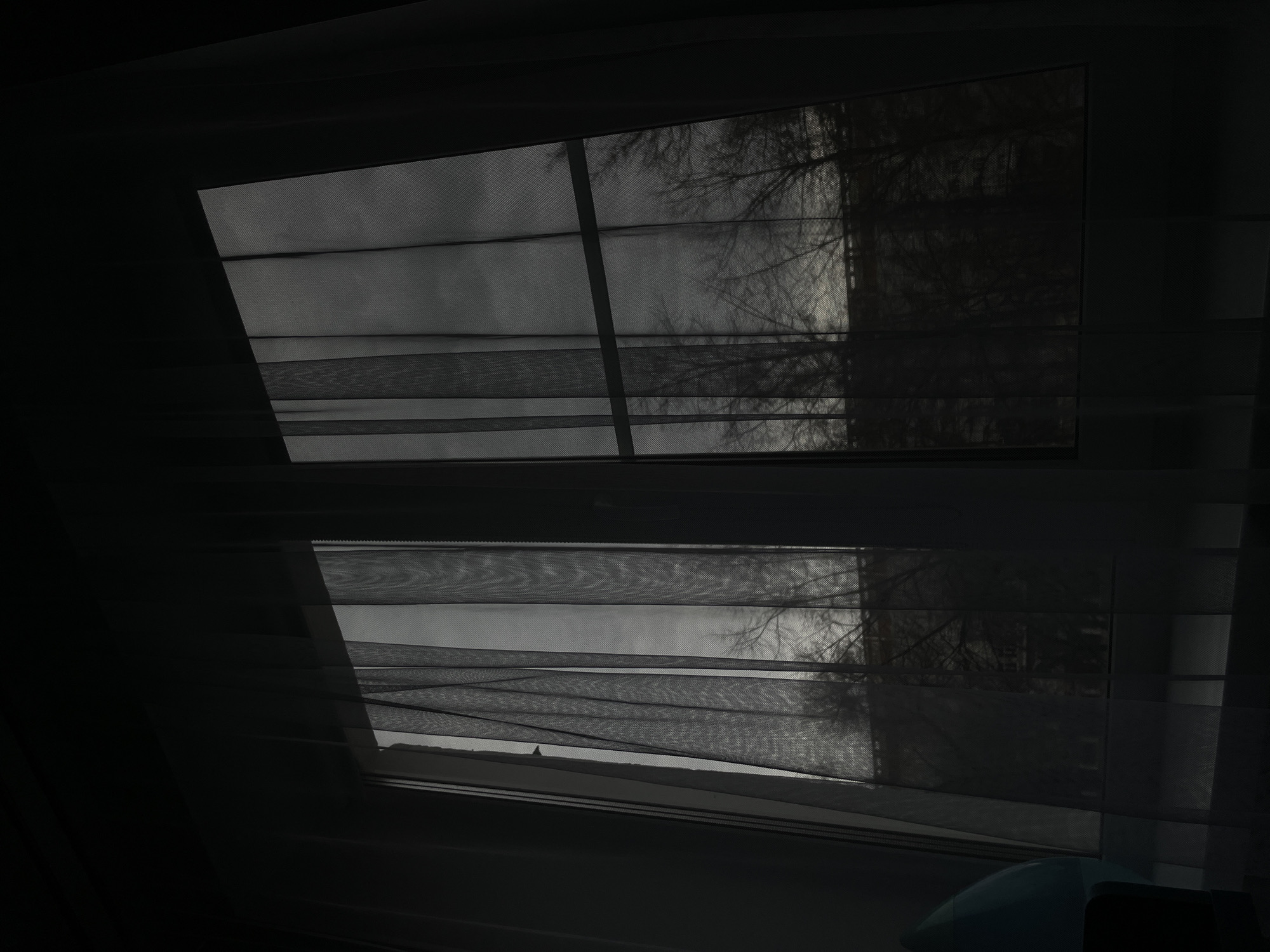 Two skylights with sheer blinds are visible, offering a glimpse of the outside. The trees outside suggest a natural environment, possibly a park or wooded area in Chaikovsky, Russia. Light levels are low, contributing to a dark and muted atmosphere in the room.