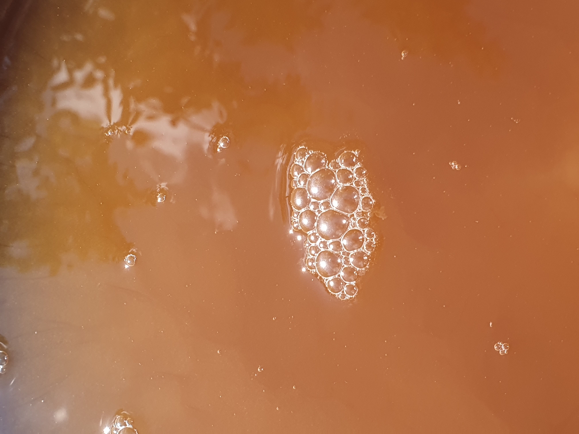 This is a close-up, top-down, full-frame shot of a shallow body of murky, brown liquid with a concentration of frothy bubbles on the surface. The liquid appears to be water with suspended sediment. The bubbles are varied in size, with a prominent cluster of larger bubbles in the lower-middle section of the image, reflecting light from above. Smaller, isolated bubbles are scattered throughout the liquid. The surface has a slight sheen, indicating it is a liquid. There are no people, animals, or discernible structures visible. The image is a still shot of a static liquid surface. There is no information in this image to determine its location in the city of Novoivanivka, Ukraine.
