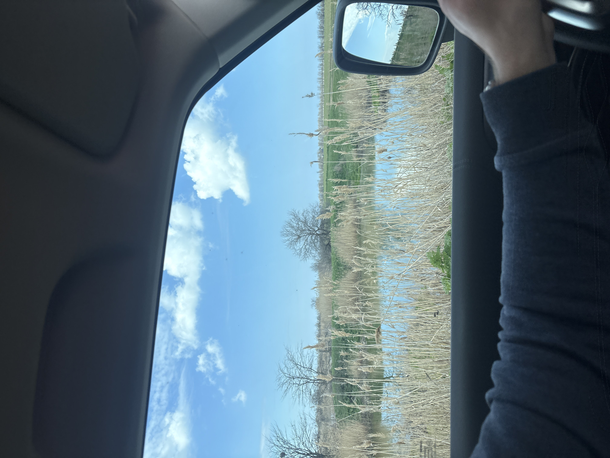 The image shows a view from inside a vehicle, likely a car. The view through the window reveals a rural landscape with a body of water, likely a river or a lake, flanked by tall, dry reeds. Scattered trees are visible along the banks, under a blue sky with some white clouds. The side mirror of the car reflects the same landscape. Inside the car, part of the interior is visible, including the ceiling and the sleeve of a dark-colored garment, possibly a sweater. The location is identified as Николаевское сельское поселение, Ukraine based on the prompt.