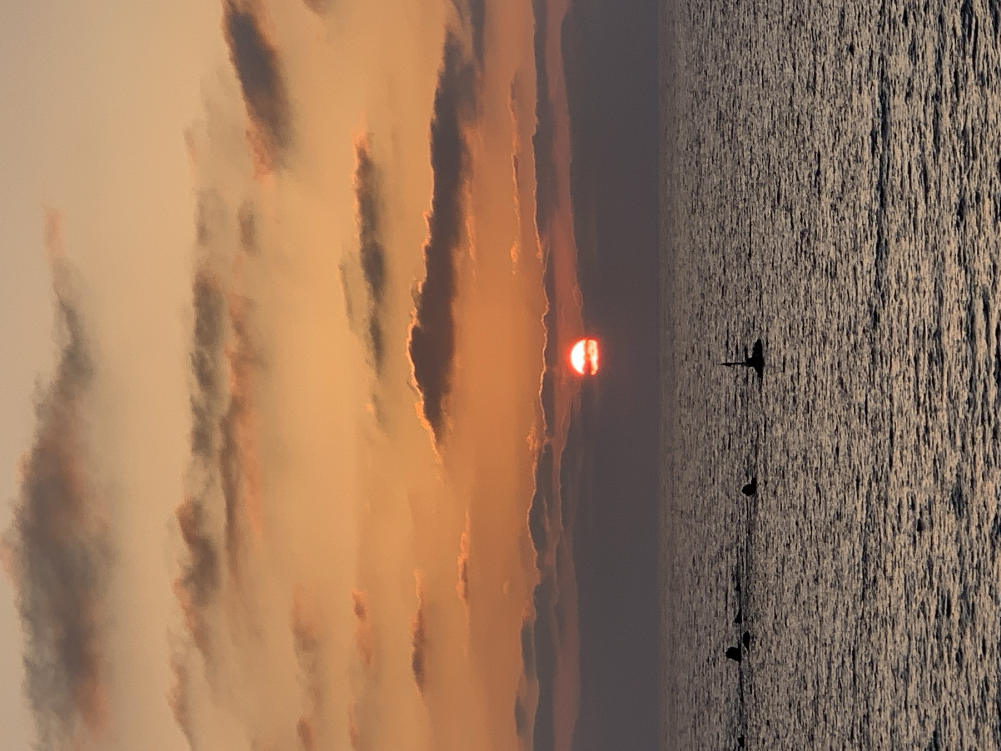 A sunset over the Mediterranean Sea is depicted. The sun, a vibrant orange orb, is partially obscured by a band of dark clouds, casting a warm glow on the sky which transitions from a deep orange at the horizon to a lighter peach hue at the top. Scattered, wispy clouds with pink and gray tones dot the sky. The sea below is a deep, textured gray, reflecting the muted light. In the distance, a few dark, silhouetted objects, possibly rocks or buoys, break the surface of the water. A small, dark object with a thin vertical marker, resembling a buoy or a small marker, is visible closer to the foreground. The scene suggests a tranquil evening by the coast in Tel-Aviv, Israel.