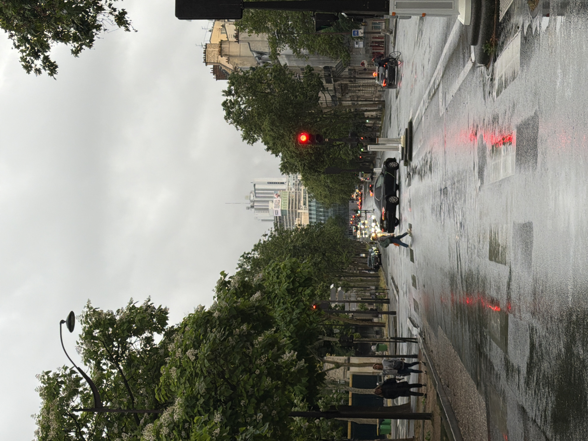 This media file depicts a wet Parisian boulevard on an overcast day, seen from a slightly elevated perspective looking down the street. The asphalt road surface is visibly damp and highly reflective from recent rain, mirroring the red glow of traffic lights and vehicle brake lights.
The main subjects include several cars stopped or moving slowly. A prominent red traffic light is visible on the left side of the street, indicating a halt in traffic. A black sedan is in the foreground on the left, and another car is further down. A person is captured mid-stride, crossing the street from left to right on a marked pedestrian crossing. On the right-hand sidewalk, two individuals stand under the trees, partially obscured.
The street is densely lined with tall, leafy green trees, some bearing white blossoms, which create a verdant canopy. Beyond the trees, traditional Haussmannian-style buildings with classic Parisian architecture are visible, featuring light-colored facades and ornate roofs. In the far distance, a cluster of modern high-rise buildings rises above the urban landscape, silhouetted against the uniformly gray and cloudy sky, suggesting a metropolitan area. A distinctive curved streetlight fixture extends from the lower left. The weather is clearly overcast and damp, with no direct sunlight. No discernible text is clearly visible in the image. The scene conveys the atmosphere of a bustling city street during a rainy daytime.