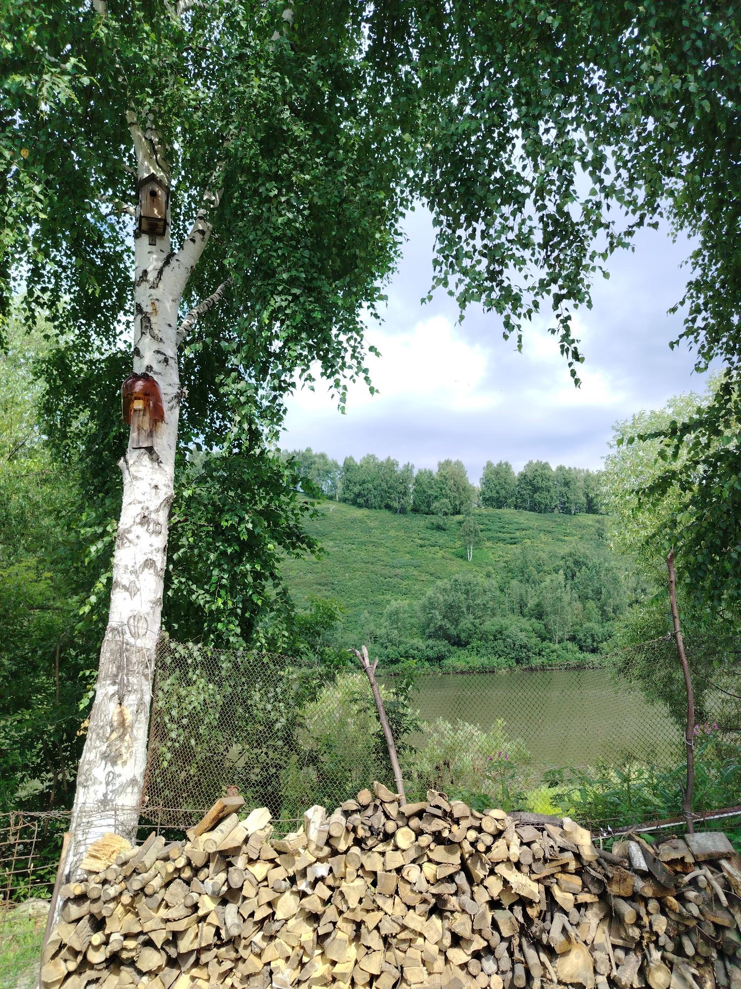 A rustic scene unfolds in Kaltan, Russia, dominated by a large birch tree in the foreground. The tree, with its distinctive white bark, is adorned with two birdhouses, one small and wooden attached higher up, and another, larger and more ornate, crafted from wood and positioned lower down. The tree is heavily laden with green leaves, which cascade downwards, partially obscuring the view of the sky. In front of the birch tree, a substantial pile of chopped firewood is neatly stacked, forming a rustic barrier. Beyond the firewood, a chain-link fence runs horizontally, separating the immediate area from a body of water. The water, a muted green, reflects the overcast sky. Across the water, a lush, green hillside rises, covered in a dense forest of various trees. The sky above is cloudy, with patches of bright sky peeking through. The overall impression is one of a natural, somewhat secluded setting, possibly a backyard or a rural property.