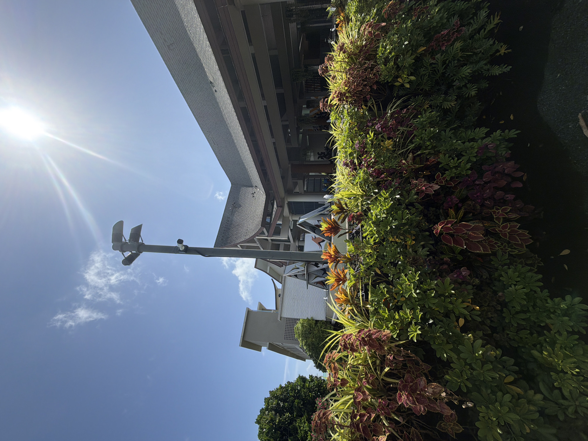 The image depicts an outdoor scene under a bright, sunny sky with a few wispy clouds. In the foreground, lush green and reddish-purple foliage is densely planted, creating a vibrant border. Behind the plants, a grey pole stands tall, topped with two floodlights facing outward and a security camera mounted lower down. Further back, a modern building with a dark, sloped roof is visible, featuring a covered walkway supported by columns. To the left of this building, another structure with multiple levels and a lighter facade rises, partially obscured by a large, dark green tree. The overall setting suggests an exterior area of a public building or resort, possibly with a focus on security and landscaping. The image does not contain any people, actions, or interactions to describe. The location of Bang Muang, Thailand is not identifiable from the visual elements in the image.