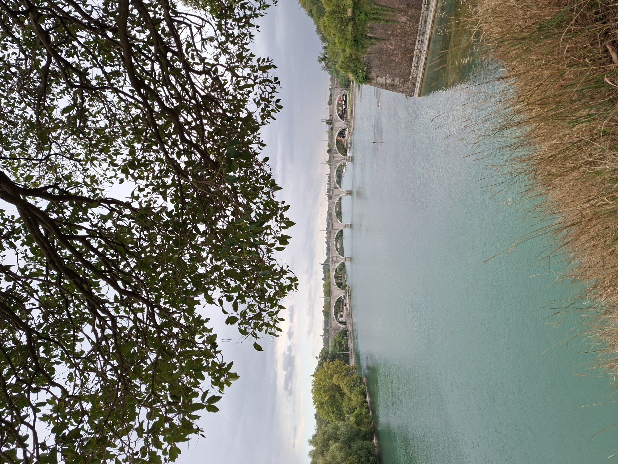 A high-angle, medium shot captures a serene river scene framed by lush tree branches in the foreground. The river, with its calm, aqua-colored water, dominates the lower half of the frame. In the distance, a long, multi-arched bridge spans the river, with a cityscape visible behind it. To the right, a fortified stone wall juts into the river, its rough texture contrasting with the smooth water. The sky above is overcast, with soft grey clouds adding to the tranquil atmosphere. The scene is likely Peschiera del Garda, Italy, given the presence of the historical fortifications and the river's appearance.