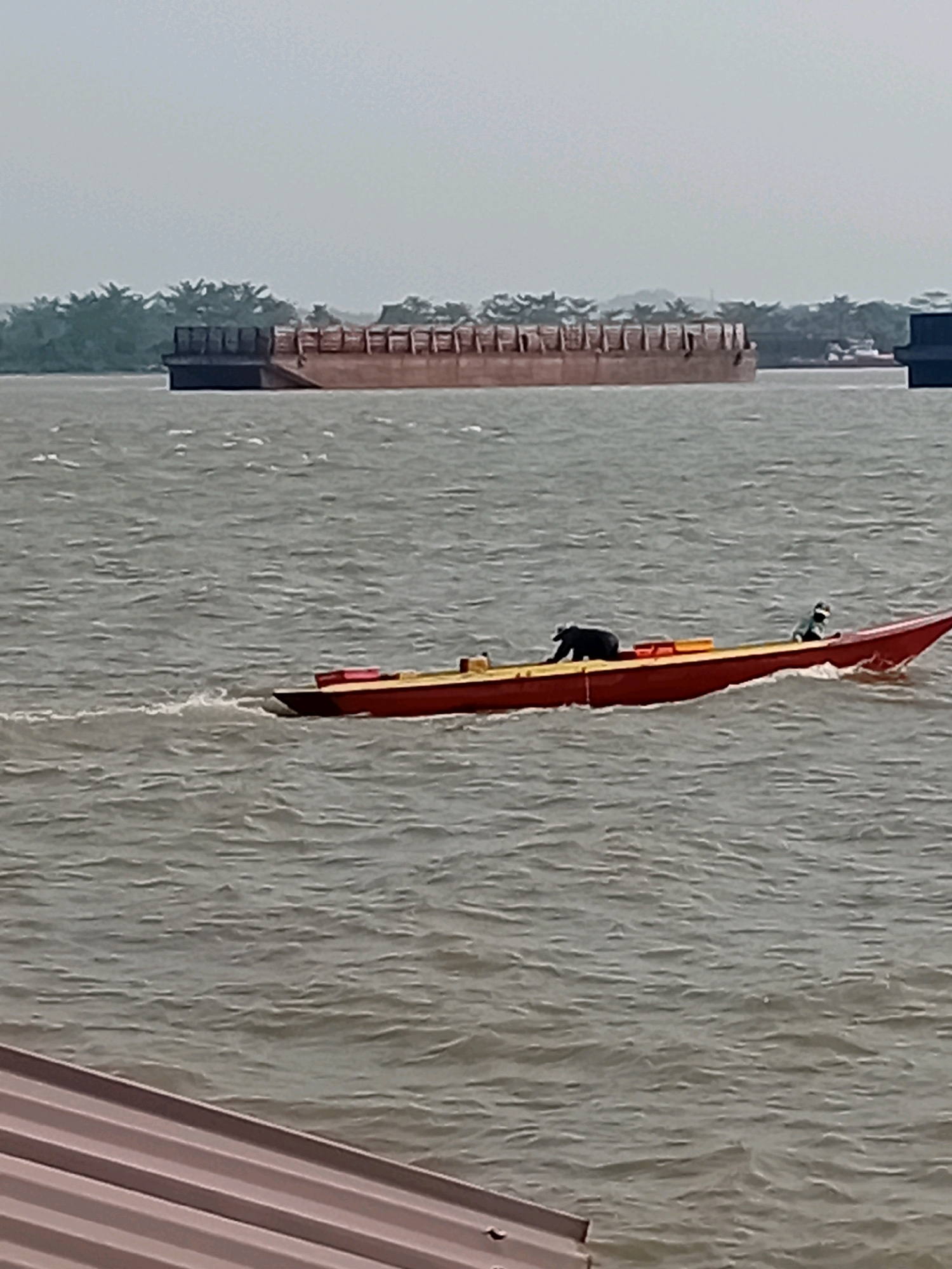 In Sungai Meriam, Indonesia, a long, narrow red boat with yellow trim is moving through moderately choppy water, leaving a wake. Two individuals are present in the boat: one person, dressed in dark clothing, is seated in the rear of the boat, and another person, wearing a light-colored jacket and a dark cap, is seated in the front. Two orange life vests are visible in the boat, lying on a yellow surface. In the background, a large, flat-topped barge is visible on the water, with a dense line of trees along the distant shore. The sky is overcast and hazy. In the foreground, the corrugated roof of a structure is partially visible.
