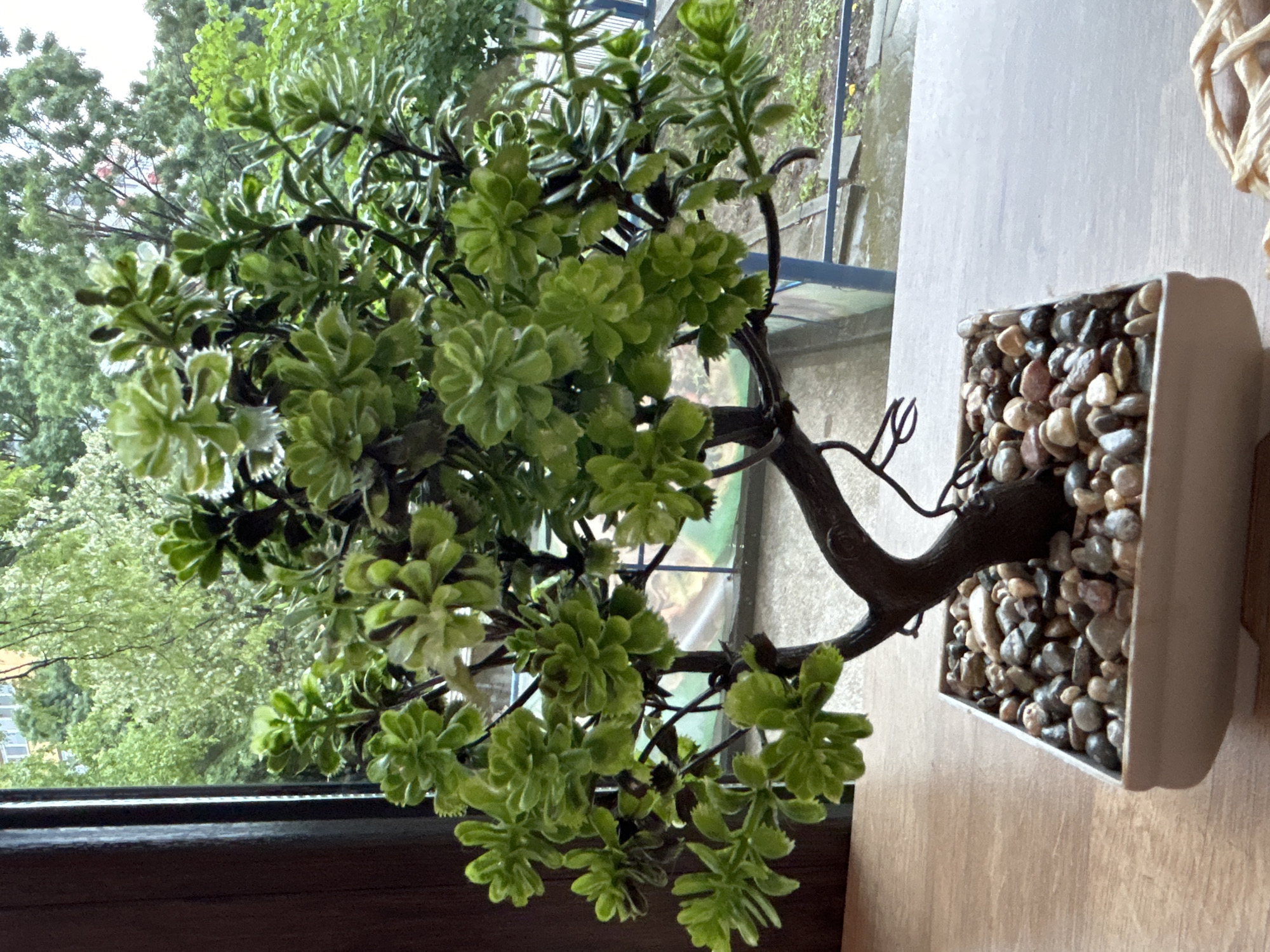 The image shows a decorative artificial bonsai tree in a square, off-white pot filled with small pebbles. The tree has a dark brown trunk and green leaves. The bonsai tree is positioned on a light brown surface, likely a table or windowsill. In the background, visible through a window, is a view of green trees and foliage. Given the description includes the city of Burgas, Bulgaria, it is implied that the picture was taken in Burgas, Bulgaria.
