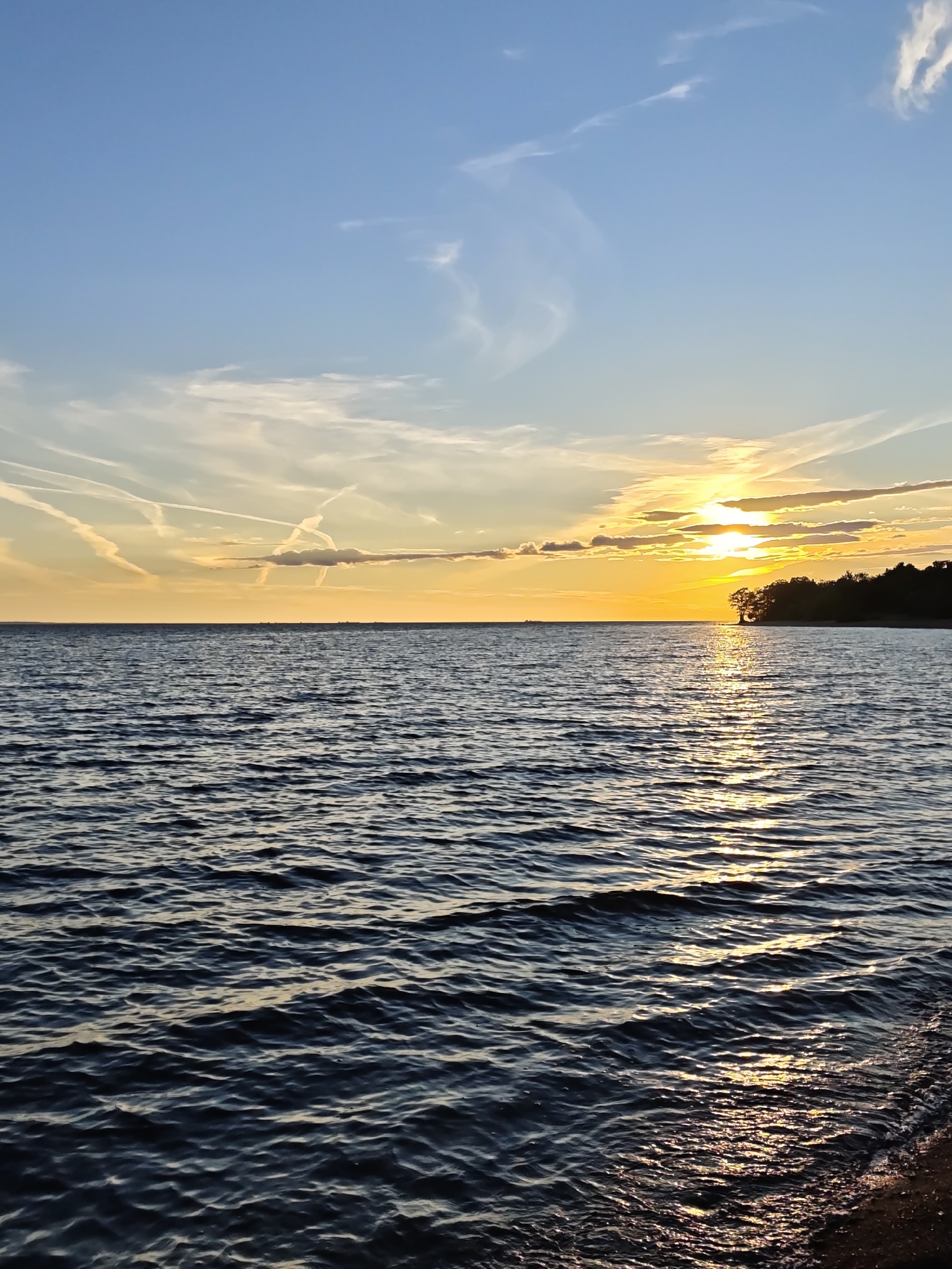 The image depicts a serene sunset over the Gulf of Finland, with the sky transitioning from a clear blue at the top to a warm golden hue near the horizon. Wispy white clouds are scattered across the sky, some displaying contrails from aircraft. The sun, a bright orange orb, is partially obscured by a horizontal band of clouds, casting a shimmering reflection on the calm, dark blue water.
In the distance, a dark, tree-lined shoreline is visible to the right, with a solitary tree standing out against the sunset. A few small vessels are discernible on the horizon, suggesting maritime activity. The foreground shows the gentle lapping of waves against a dark sandy shore. The overall atmosphere is tranquil and picturesque. The scene is likely a coastal area in or near Kronstadt, Russia, given the context provided. There are no people or specific actions depicted in the image.