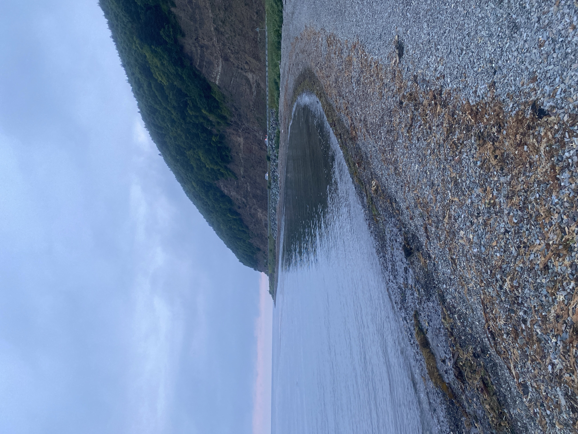 The image depicts a serene coastal scene under an overcast sky. The foreground features a pebbled beach strewn with dried seaweed, leading to the calm, grey waters of the sea. In the background, a steep, tree-covered hillside rises sharply from the coast, with a road winding along its base. Two vehicles are visible on the road. The overall atmosphere is subdued and tranquil, suggesting a quiet, natural setting possibly located on the outskirts of Korsakov, Russia, given the landscape.