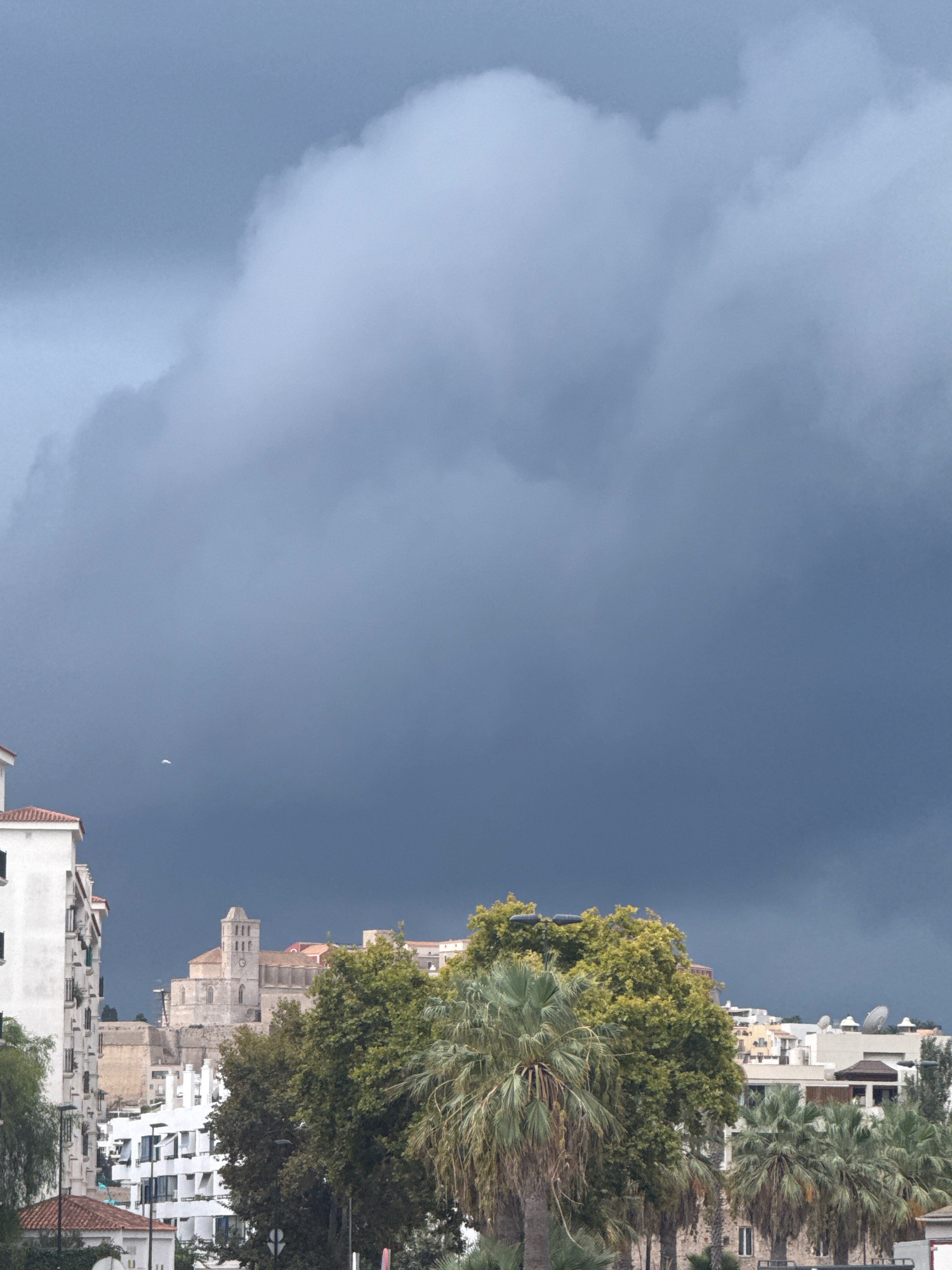 A wide shot captures a city view under a heavy, dark cloud cover, suggesting impending rain. In the foreground, the upper floors of a white building with orange-tiled roofs are visible on the left. Further back, a cluster of trees, including palm trees and a large deciduous tree with yellow-green foliage, forms a dense midground. Behind the trees, a prominent, light-colored cathedral or church building stands on a hill, its architecture suggestive of European historical design. Various other buildings, some white and modern, are interspersed amongst the trees and further into the background. The sky is dominated by large, grey, billowy clouds that obscure most of the upper portion of the frame. A small, white object, possibly a bird or a kite, is visible in the sky near the center-left of the image. The scene is characteristic of Eivissa, Spain, likely taken from an elevated position looking towards the historic Dalt Vila area.