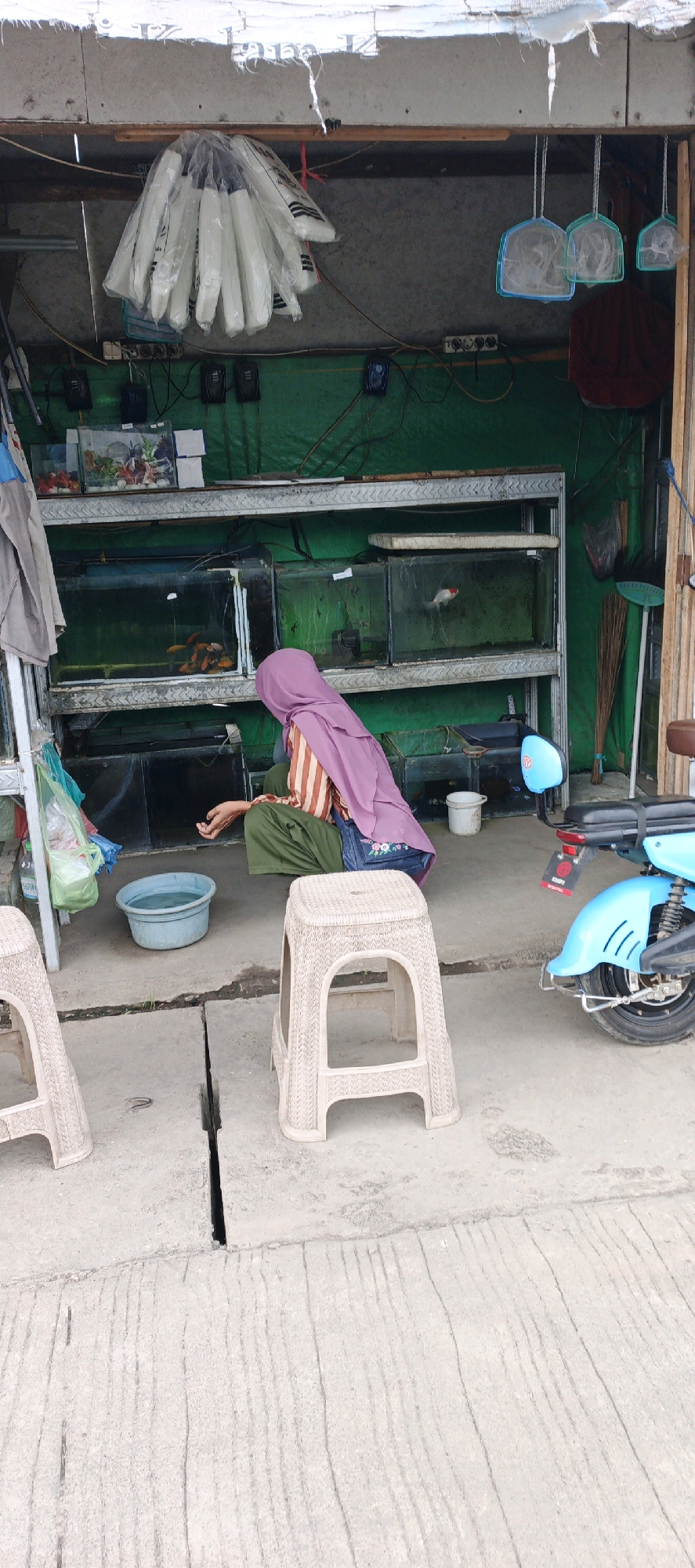 This is a vertical, medium-shot photograph taken outdoors, likely on a street in Kasiyan, Indonesia, depicting a small shop or stall selling fish. In the foreground, two light-colored plastic stools are visible. A person wearing a purple hijab, a striped shirt, and green pants is seated on the ground to the left of the right stool. They are looking towards a series of fish tanks stacked on shelves behind them. The fish tanks contain various species of fish, including goldfish. To the left of the person, a blue plastic tub filled with water is on the ground, and a plastic bag hangs from a hook above it. Behind the fish tanks, the shop is equipped with green tarpaulin sheeting. Hanging from the ceiling, there are several white objects wrapped in plastic, possibly fishing nets or supplies. Further to the right, a blue electric scooter is parked. The ground is a concrete surface with visible cracks.