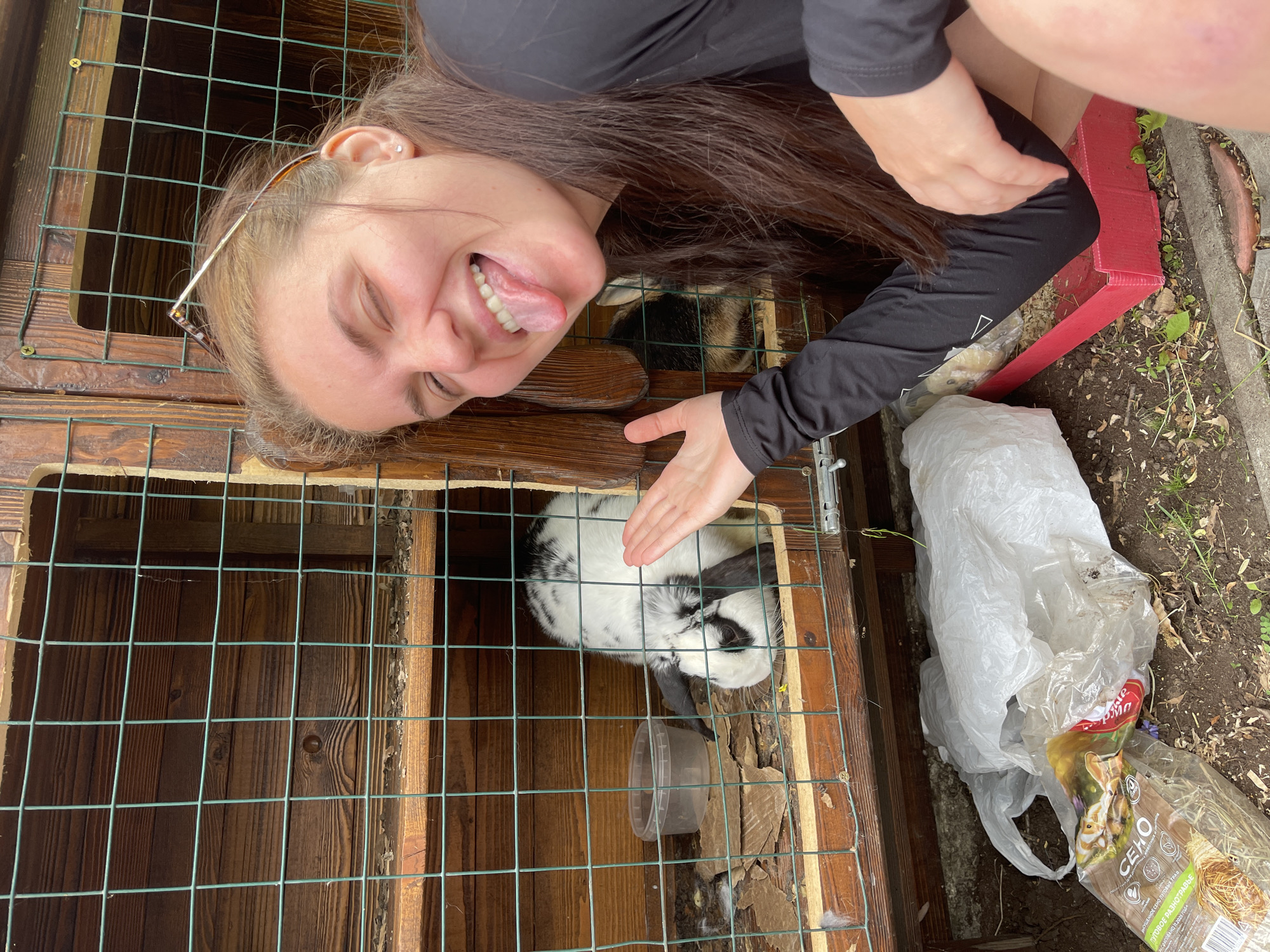 A woman is interacting with a rabbit in a wooden cage with green wire mesh. The woman has brown hair and is sticking her tongue out with her eyes closed. She is wearing a long-sleeved black shirt and has sunglasses pushed back on her head. Her hand is near the rabbit in the cage. The rabbit is white with black markings. A plastic food container is inside the cage near the rabbit. Next to the cage is a bag of rabbit food, a white plastic bag, and a red strap. The location is Molokovo, Russia. The environment appears to be outdoors.