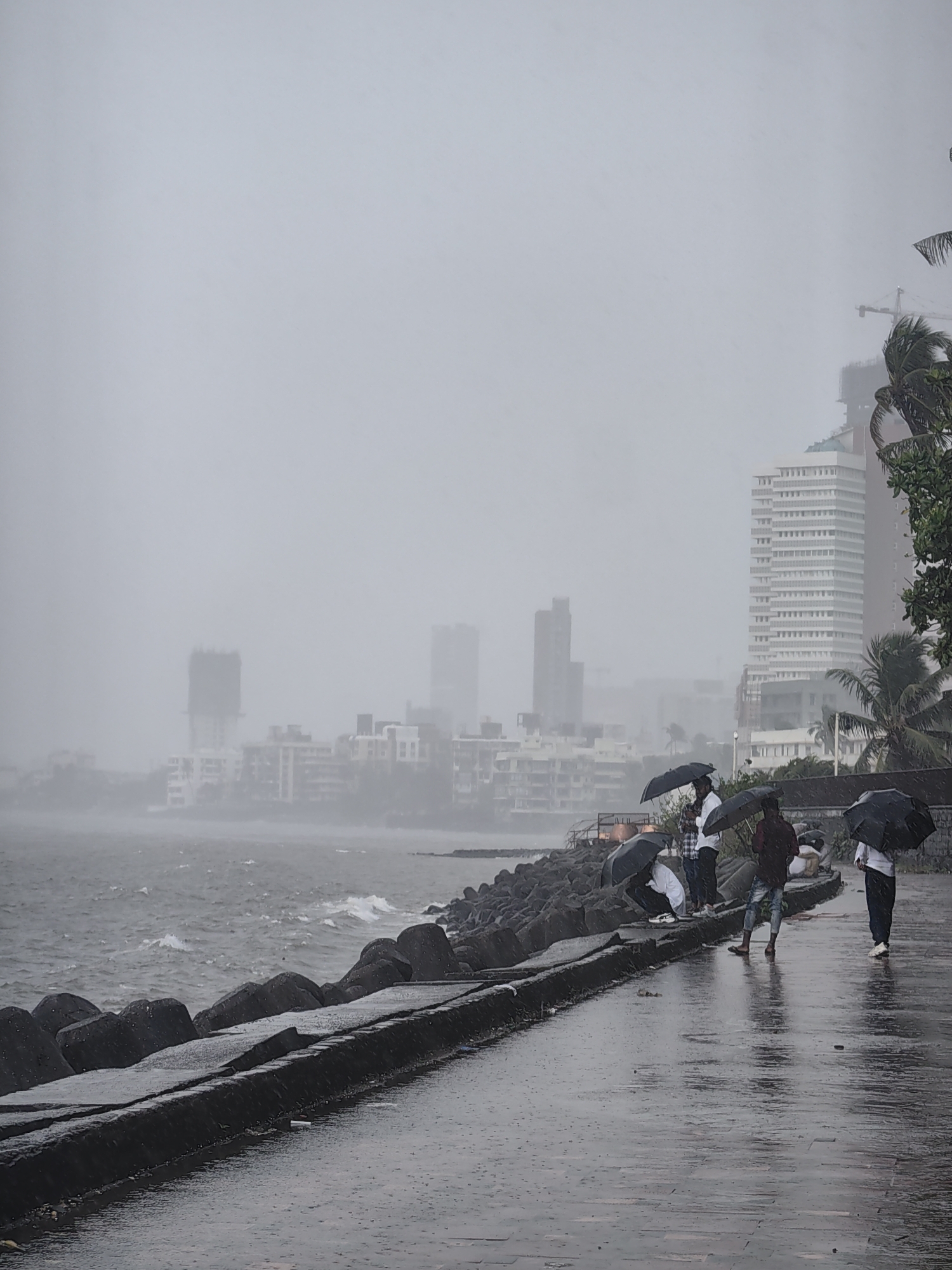 In Mumbai, India, during a rainy day, a group of people with umbrellas are walking along a paved promenade. The promenade is bordered by a seawall made of large, dark rocks, and beyond that, the choppy grey waters of the Arabian Sea are visible. In the background, the Mumbai skyline is shrouded in mist, with several tall buildings and construction cranes indicating the city's urban development. The atmosphere is overcast and the ground is wet from the rain, with droplets visible on the pavement.