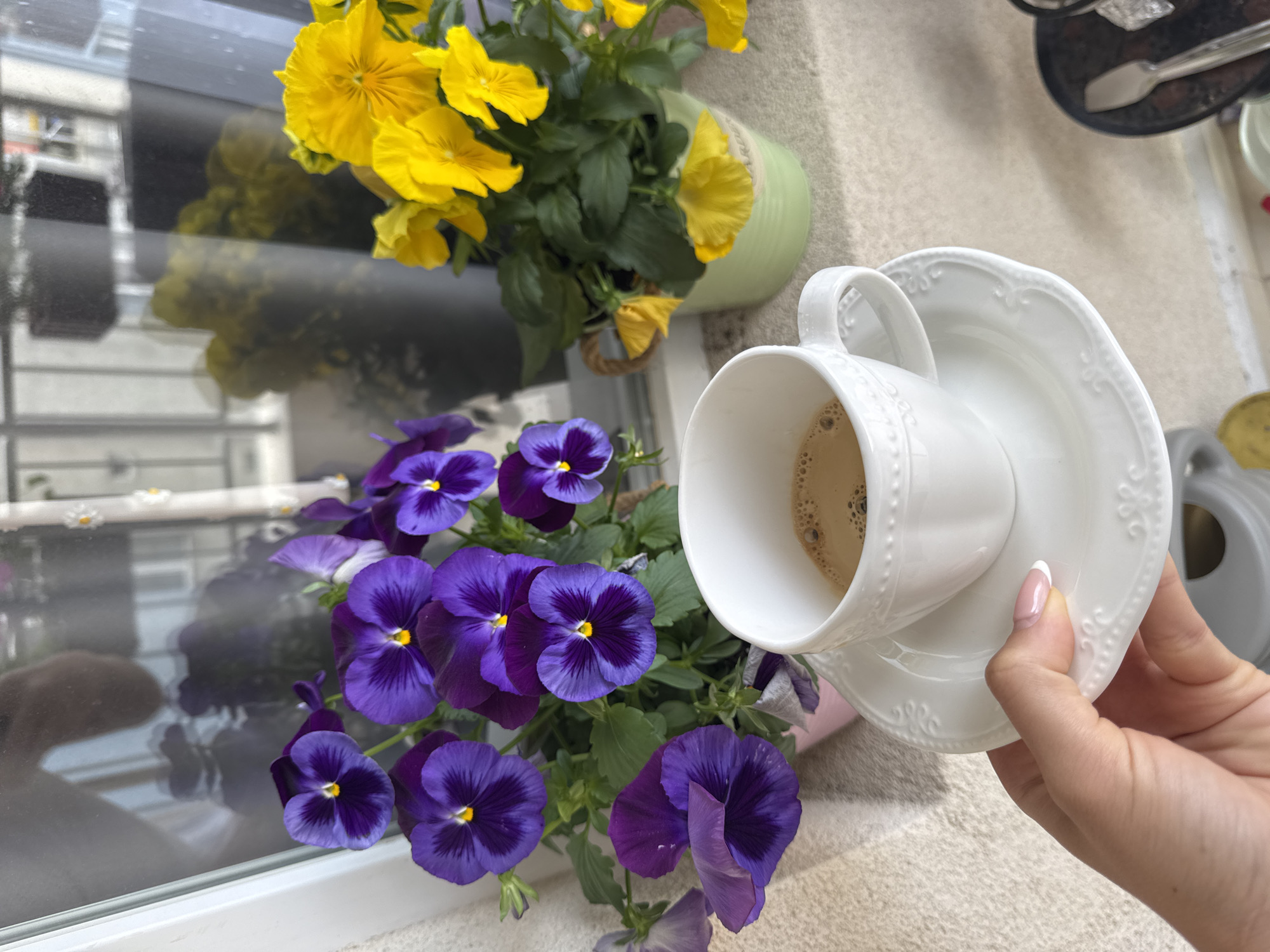 A high-angle shot shows a hand holding a white teacup and saucer, partially filled with a coffee-like beverage. Yellow and purple pansies are in pots in the background, situated on a windowsill. The windowsill appears to be positioned on a balcony, with a reflection of a building visible in the windowpane. The location is possibly in Burgas, Bulgaria, based on visual cues in the environment. A watering can is partially visible to the right of the teacup. The fingernails of the hand holding the teacup show a white tip design.