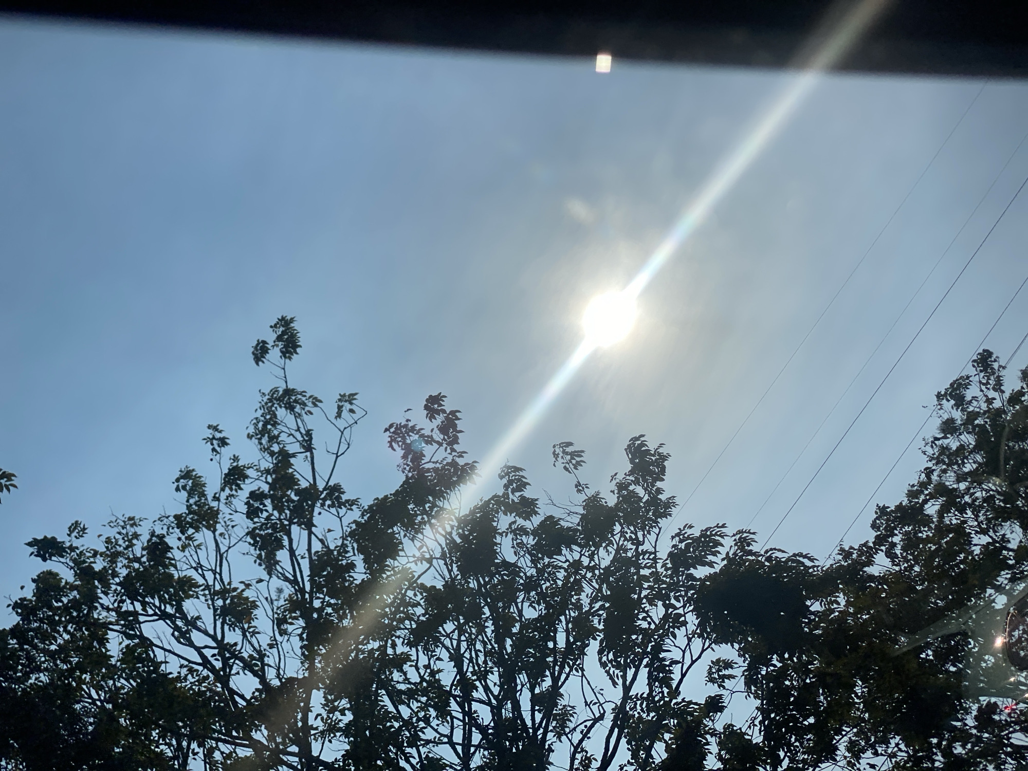 A close-up, low-angle shot captures a tree's silhouette against a bright, hazy blue sky. The sun is a prominent, glaring white orb positioned in the upper right quadrant of the frame, casting a diagonal lens flare across the image. Tree branches and dark green foliage occupy the left and lower portions of the frame, with some of the leaves catching the light and appearing translucent. Several dark, thin power lines are visible horizontally across the sky, interspersed between the tree branches. The right edge of the image features a dark, vertical obstruction, possibly a building or window frame, that partially obscures the scene. The overall impression is a sun-drenched, outdoor environment likely within a residential or urban area, suggesting a typical day in Banjarmasin, Indonesia, characterized by its tropical climate and lush vegetation.