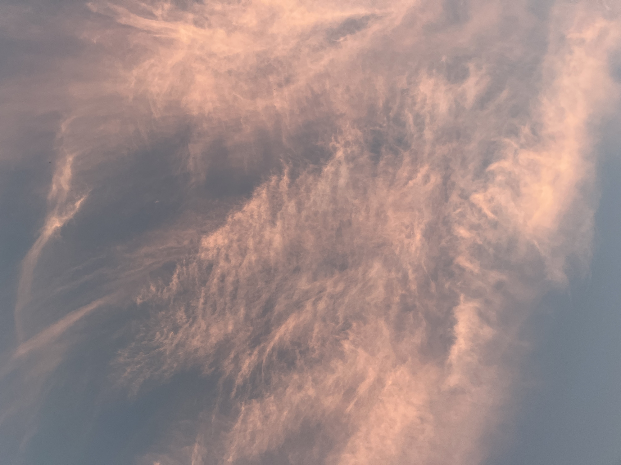 The image depicts a sky filled with cirrus clouds. The sky's background color varies from a light gray to a light blue. The clouds are a soft pinkish-orange hue, likely due to the sunlight at either sunrise or sunset. The image was taken outdoors, likely at Cordoba, Argentina. There are no people, objects, or actions taking place within the scene other than the natural phenomena of clouds and sunlight interacting with the atmosphere.