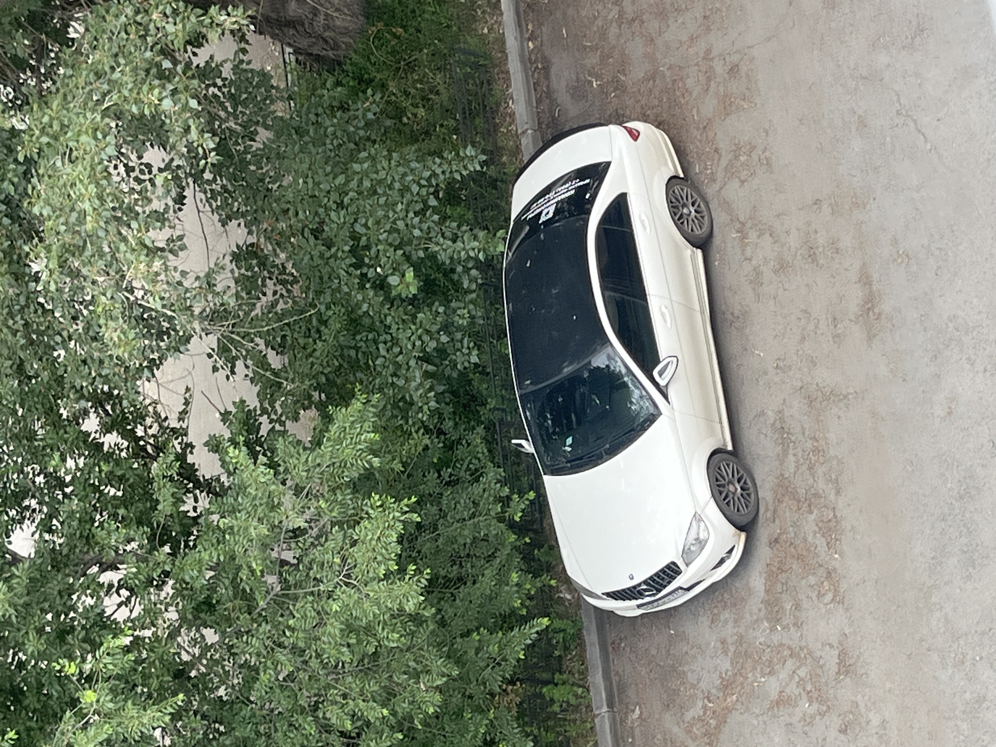 A white Mercedes-Benz C-Class sedan, with a black panoramic sunroof, is parked on a paved area next to a curb. Lush green trees with dense foliage overhang the scene from above and to the left. A dark metal fence is visible behind the car. The ground is a light-colored pavement with scattered reddish-brown debris. The car is positioned at an angle, facing towards the lower left of the frame. The exterior of the car appears to be clean. The vehicle has a visible license plate. The overall setting suggests an outdoor urban environment, possibly a residential area.