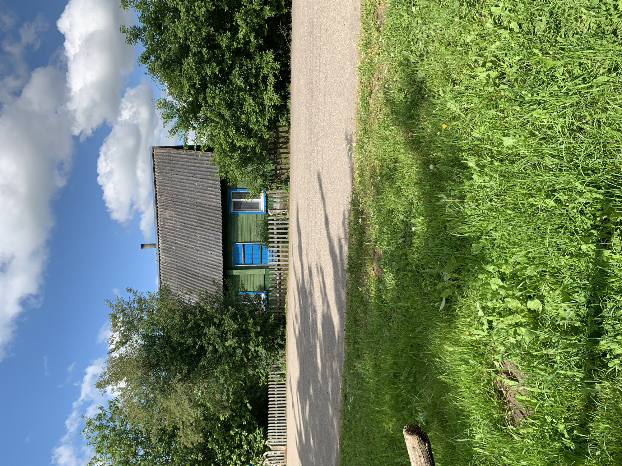 The image depicts a rural or village landscape under a bright blue sky with scattered white cumulus clouds, located in Відзаўскі сельскі Савет, Belarus. A small, single-story house with a green wooden exterior and a dark gray corrugated roof is situated in the mid-ground, partially obscured by dense green deciduous trees and bushes. A dark-colored chimney pipe extends from the roof near its peak. Two windows are visible on the house's facade; the left window has a white frame, while the right window features a bright blue shutter, partially closed.
A light-colored wooden picket fence, with pointed tops, spans horizontally across the mid-ground, separating the house's property from a light gray, unpaved or gravel road. Distinct, elongated shadows, consistent with a sunny day, are cast across the road from the fence and unseen overhead vegetation. The foreground is dominated by lush green grass, interspersed with various broadleaf weeds and a single yellow dandelion flower. A segment of a light-colored wooden log is visible in the bottom-left corner of the frame, partially cropped. No individuals are present in the scene.