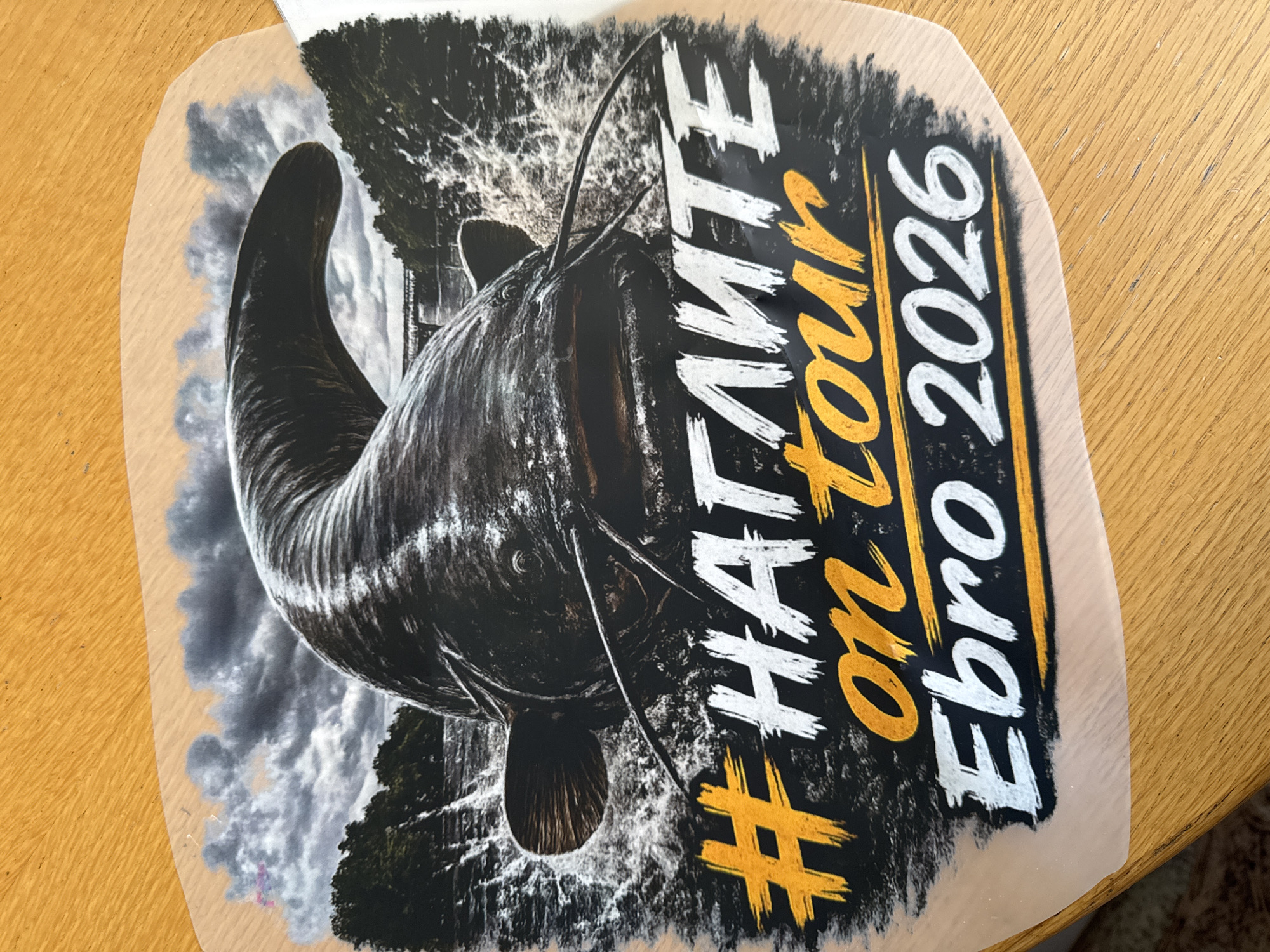 The image shows a print of a catfish. Behind the catfish is a background of what appears to be water and trees. To the right is a message written in white and yellow. The text appears to say "#NAGLITE on tour, Ebro 2026". The print is sitting on a light brown wooden surface. There is no evidence to suggest the image is located in Plovdiv, Bulgaria.