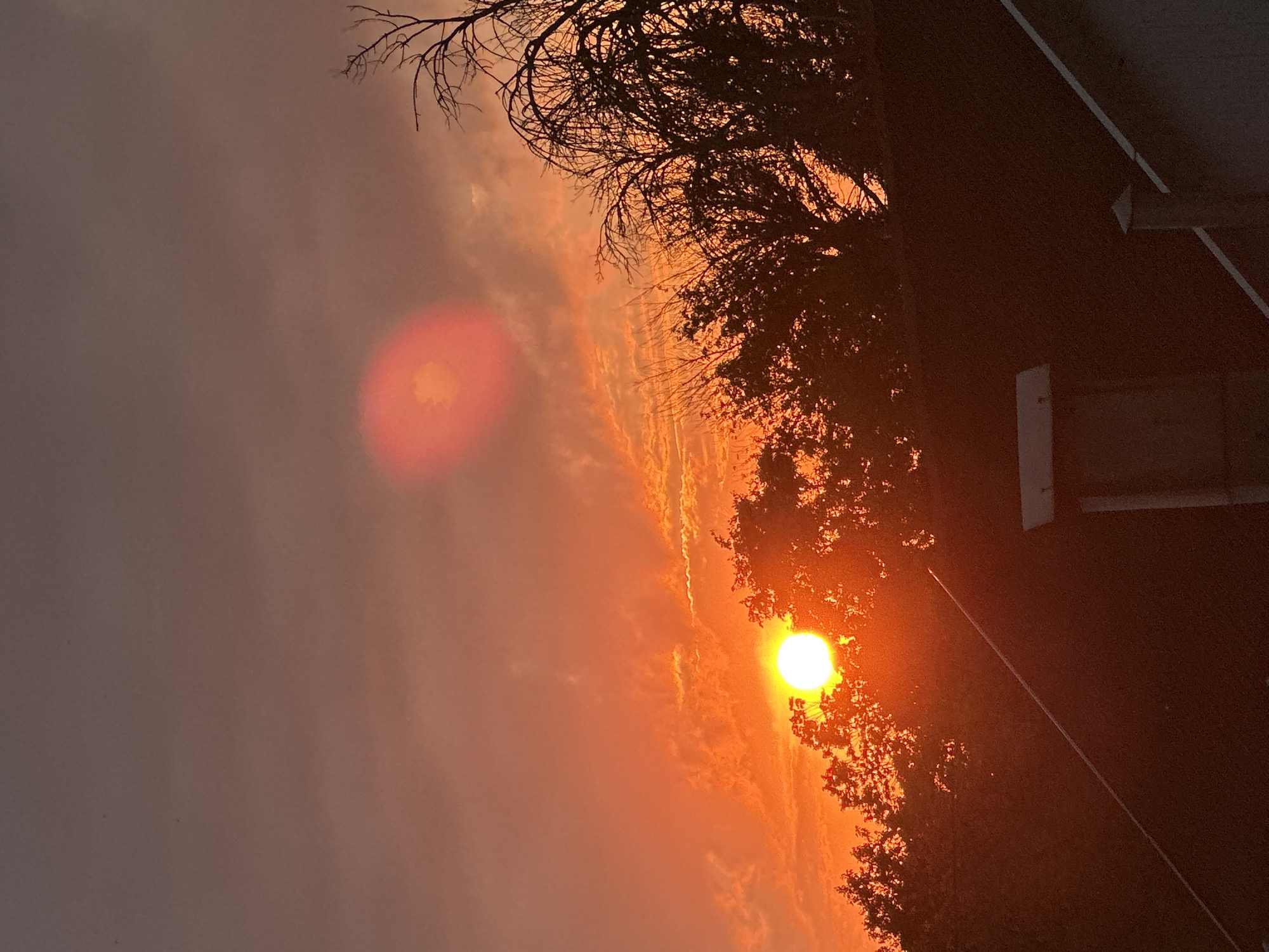 The image shows a sunset over a residential area, likely in Primorsko-Akhtarsk, Russia. The sun is a bright orb of orange, partially obscured by the branches of a tree on the right side of the frame. The sky is filled with dramatic clouds, colored in shades of orange, pink, and purple, indicating a vibrant sunset.
In the background, a dark, sloped roof of a building is visible, with a white line running diagonally across it. There are also hints of a white rectangular object on the side of the building, possibly a light fixture or a vent. The overall scene suggests a peaceful, late afternoon or early evening setting. The lighting is warm and atmospheric, evoking a sense of calm and natural beauty. The camera angle is tilted, giving a dynamic perspective to the sunset and the surrounding elements. No people or text are visible in the image.