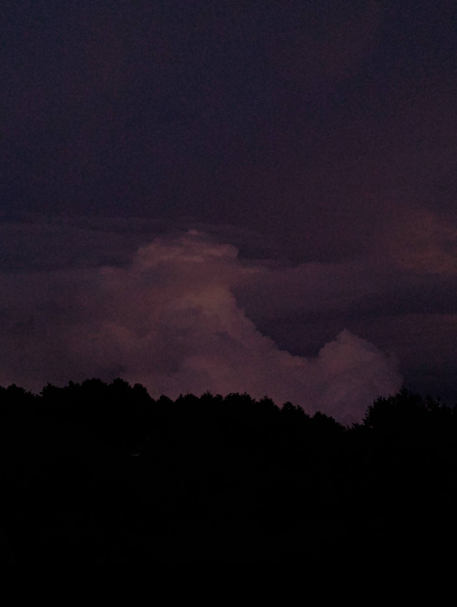 A dark, low-angle, wide shot captures a stormy sky over a silhouetted tree line at dusk. The sky is a deep, bruised purple with lighter, pinkish-tinged clouds swirling in the middle ground. One particularly large cloud formation rises in the center of the frame, resembling a mushroom or a cauliflower. Below this, the tops of numerous trees are rendered as a solid black silhouette against the dusky sky, forming a horizontal band across the bottom of the image. The ground and any features below the tree line are completely obscured by darkness. The overall impression is one of an approaching storm or the aftermath of one, creating a dramatic and slightly ominous atmosphere.