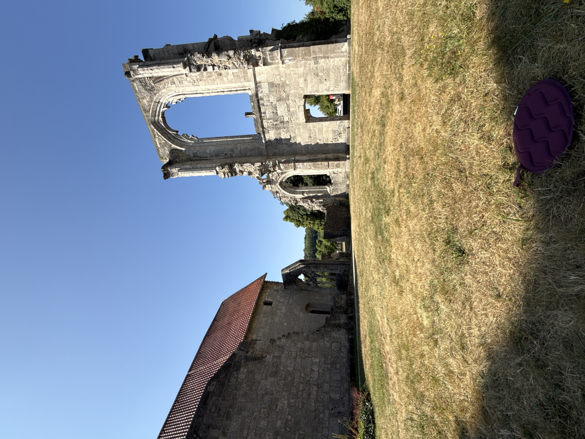 The image depicts the ruins of Walkenried Abbey in Walkenried, Germany, under a clear blue sky on a sunny day. In the foreground, dry, golden grass covers the ground, with a shadowy area on the left side. A purple, grape-shaped cushion rests on the grass in the lower right corner. To the left of the frame, a section of the abbey's remaining structure stands, featuring a red-tiled roof and rough stone walls. Further into the scene, the prominent, weathered stone ruins of the abbey's gothic architecture dominate the center and right side of the image, with a large arched opening and arched windows visible. Green trees and foliage frame the ruins in the background.