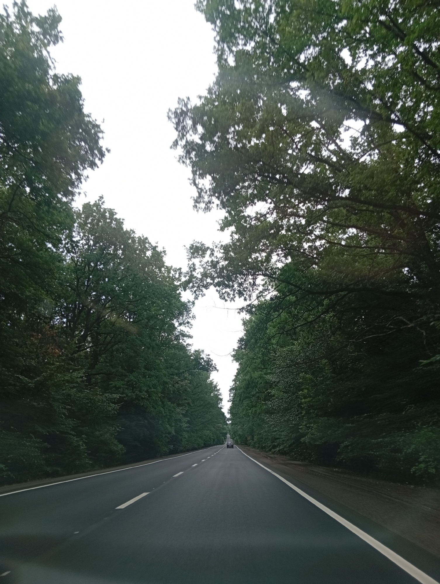 The image shows a two-lane asphalt road, possibly a highway, flanked by dense green trees on both sides, forming a canopy over the road. The sky is overcast and bright white, suggesting a cloudy day. The road has white dashed and solid lines indicating lanes. A dark-colored car is visible in the distance, driving in the same direction as the camera. The perspective is from a vehicle driving on the road. The environment appears to be a rural or suburban area with a significant presence of mature trees. There are no discernible buildings or specific landmarks.